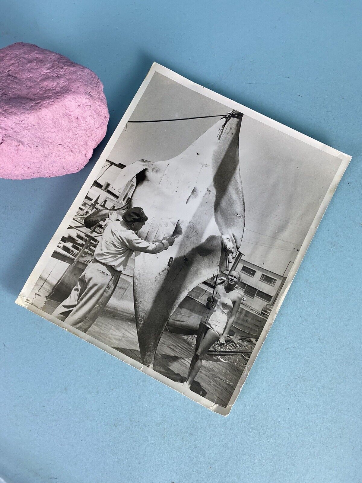 Balboa Angling Club 1952 Judget Inspecting Caught Ocean Manta Ray Photo