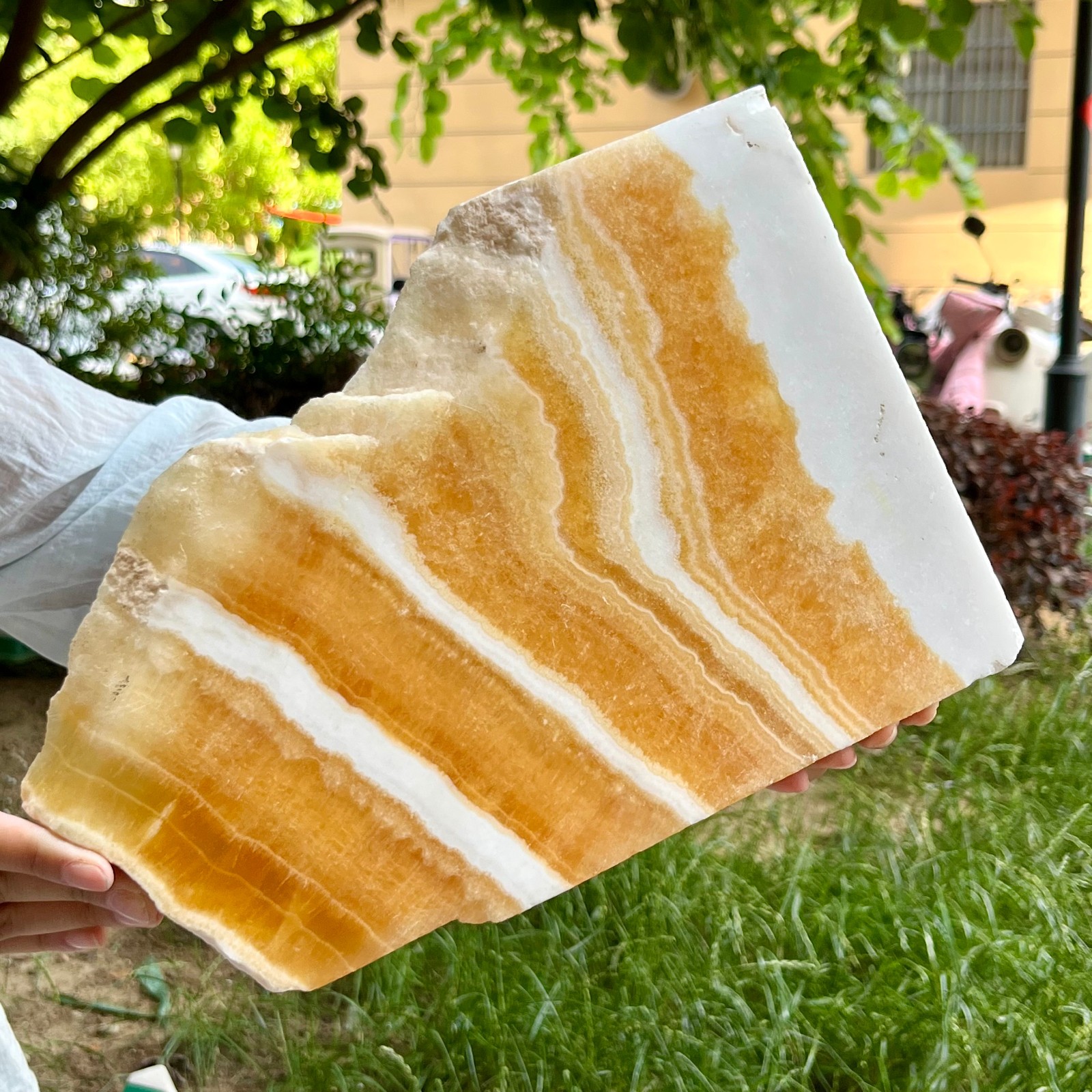 5.3 lb Yellow Calcite Crystal Polished Double Sided Slice Natural Specimen