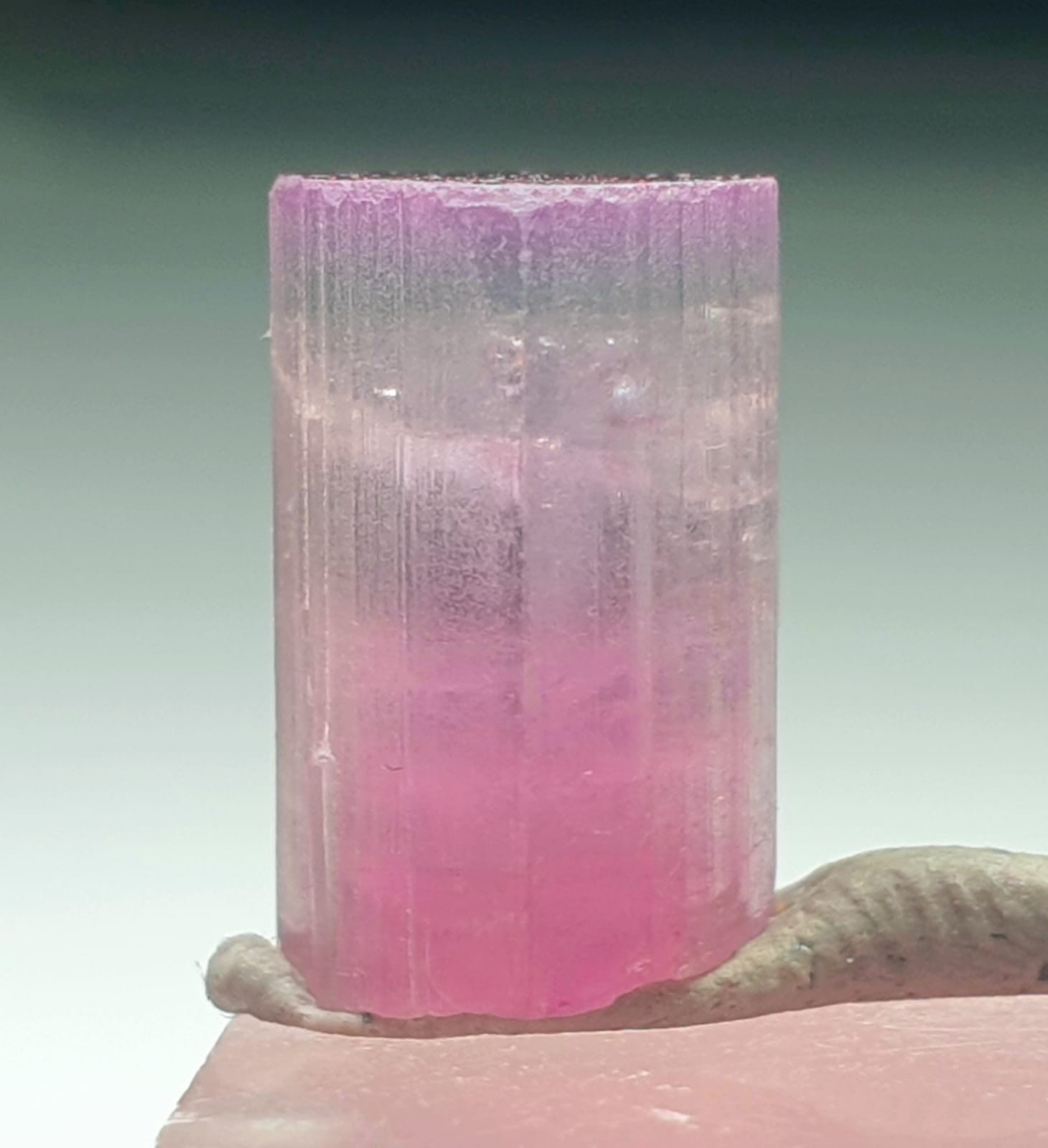 Top Quailty Saturated Bi-Colour Tourmaline Crystal From Poprook Mine . Top Quailty Saturated Bi-Colour Tourmaline Crystal From Poprook Mine .
