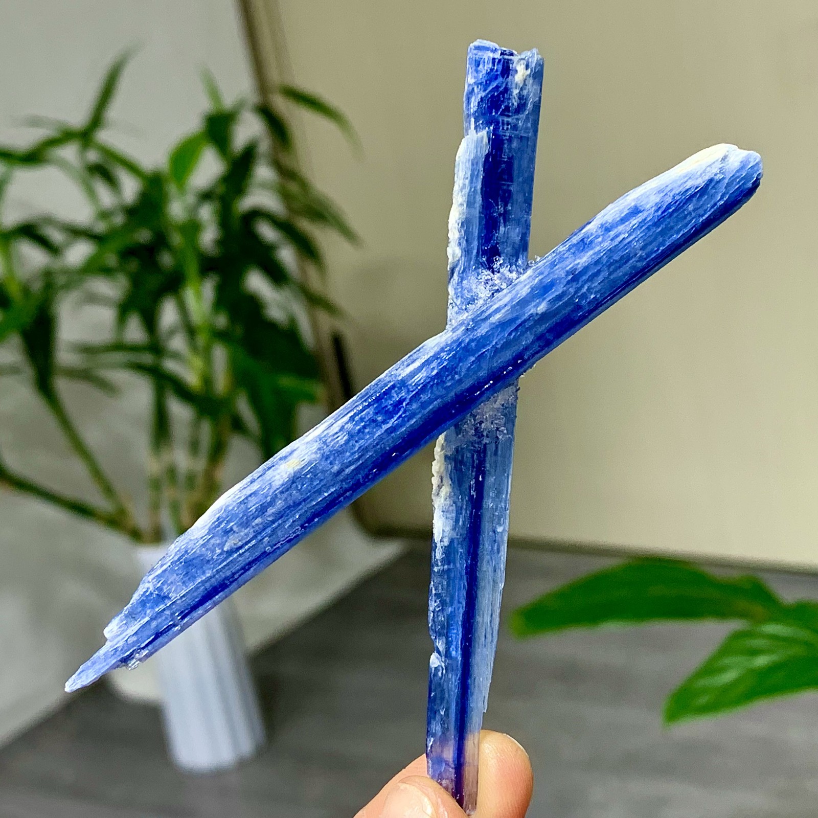 18G Rare Natural beautiful Blue KYANITE with Quartz Crystal Specimen Rough 18G Rare Natural beautiful Blue KYANITE with Quartz Crystal Specimen Rough