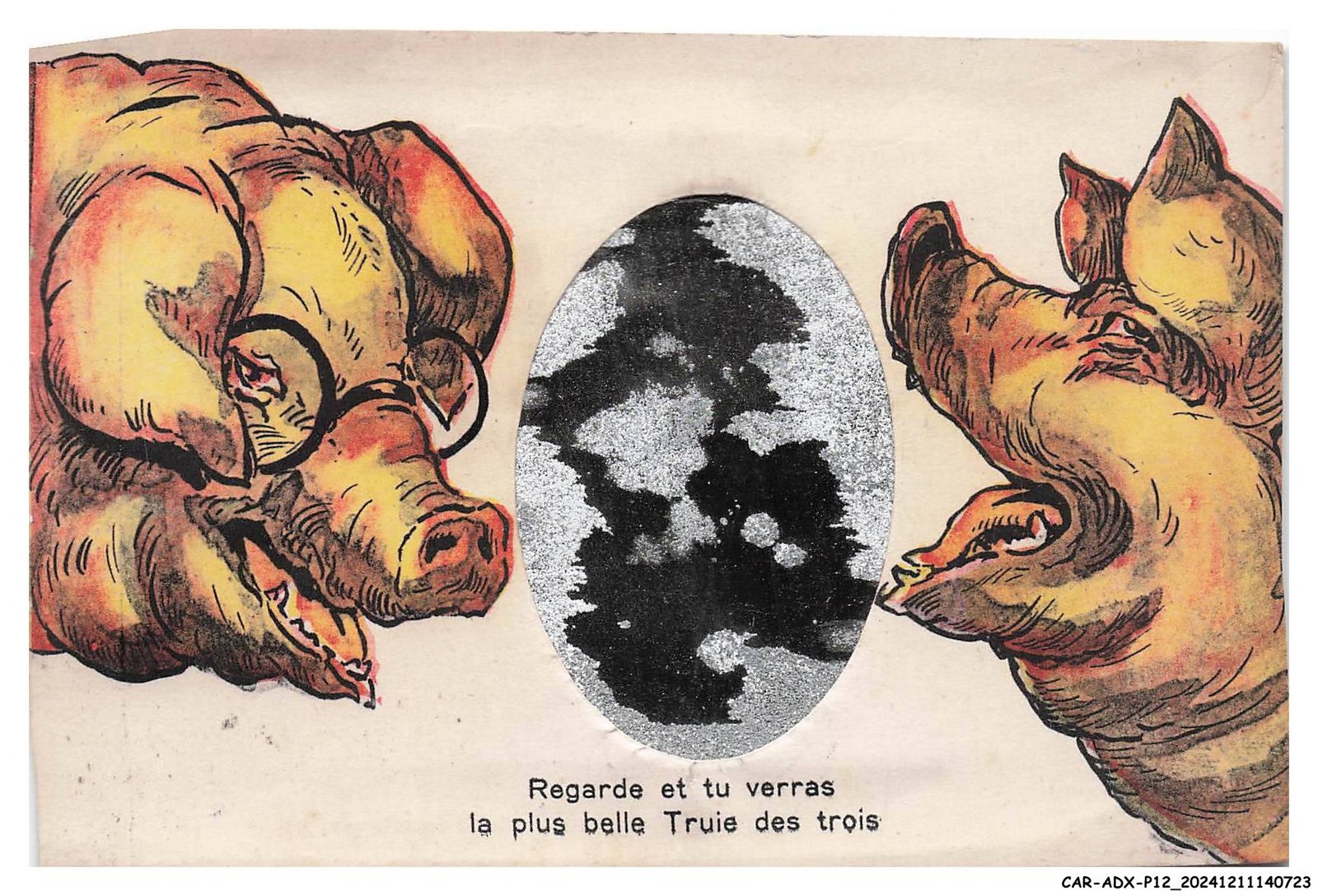 Car-Adxp12-0648-A System - Pig - Look And You Will See The Most Beautiful Sow
