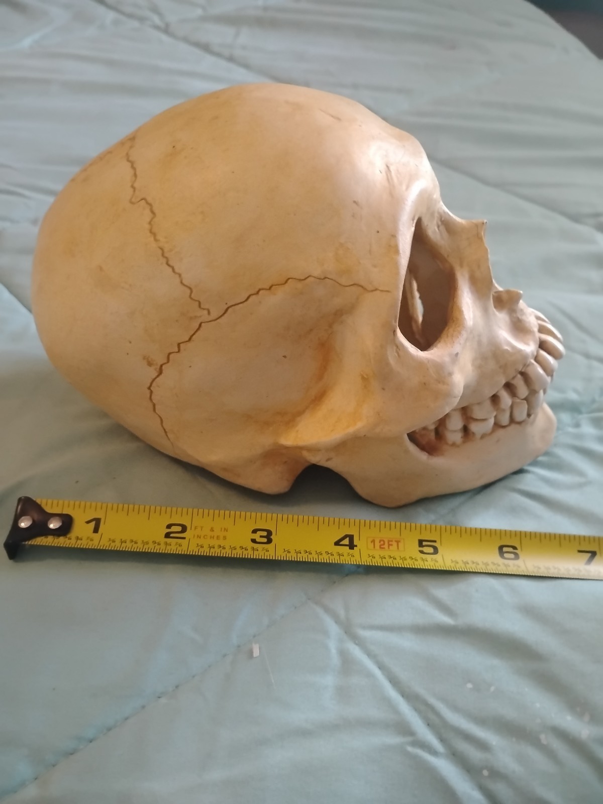 Skull Bd Studio 1995 Denis GREAT piece Ceramic Skull Bd Studio 1995 Denis GREAT piece Ceramic