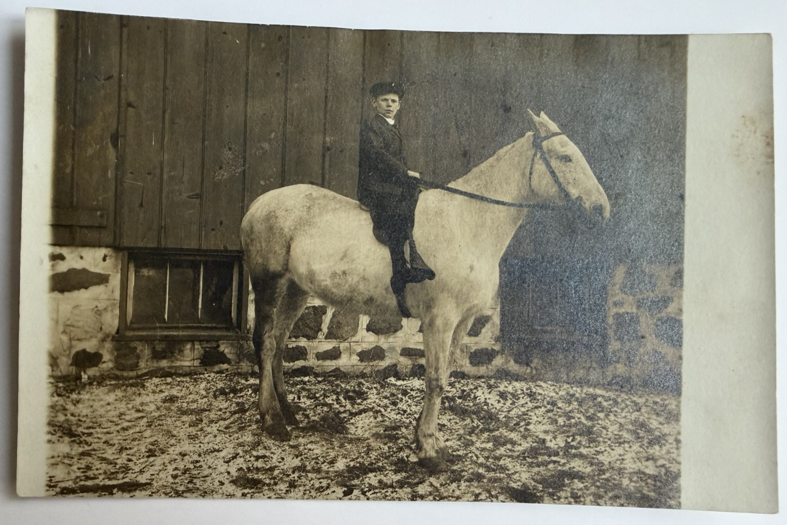 c1900s RPPC Young Boy on Large Horse Snow Whitewater Wisconsin Postcard Antique
