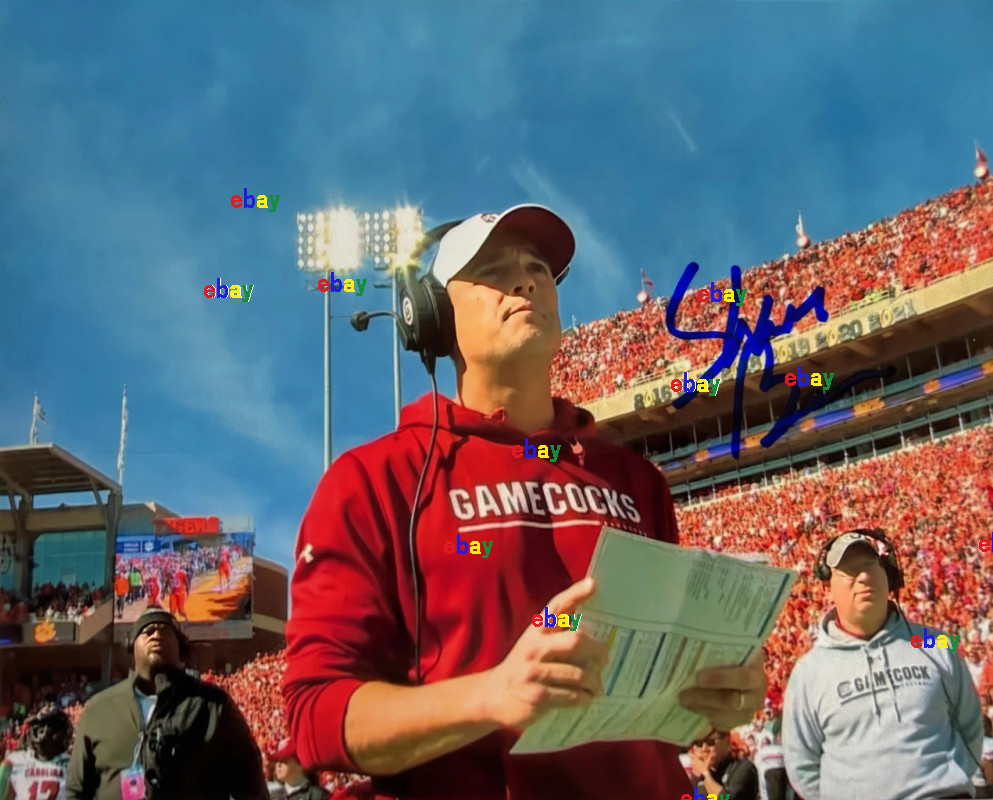 SHANE BEAMER SIGNED REPRINT SOUTH CAROLINA GAMECOCKS COACH 8\ SHANE BEAMER SIGNED REPRINT SOUTH CAROLINA GAMECOCKS COACH 8\