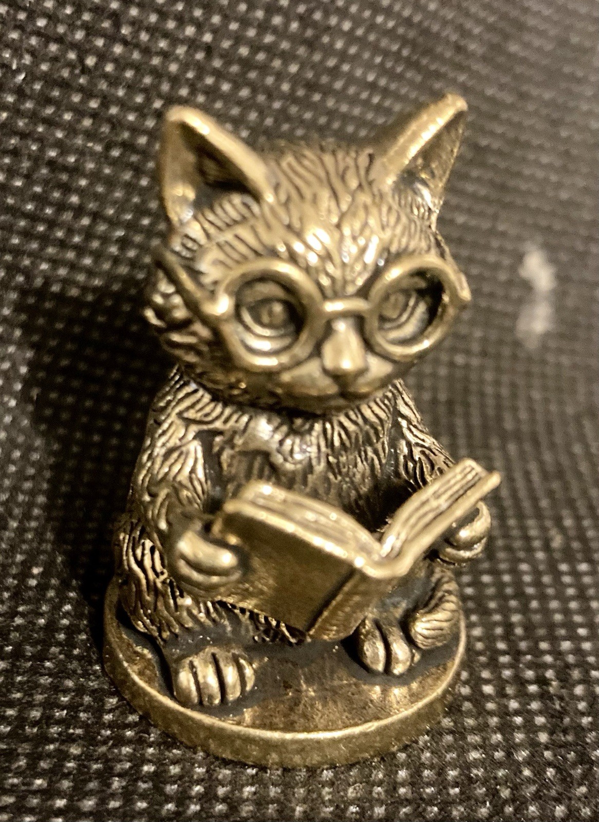 Cute Kitten Reading a Book 1 1/2 Cute Kitten Reading a Book 1 1/2