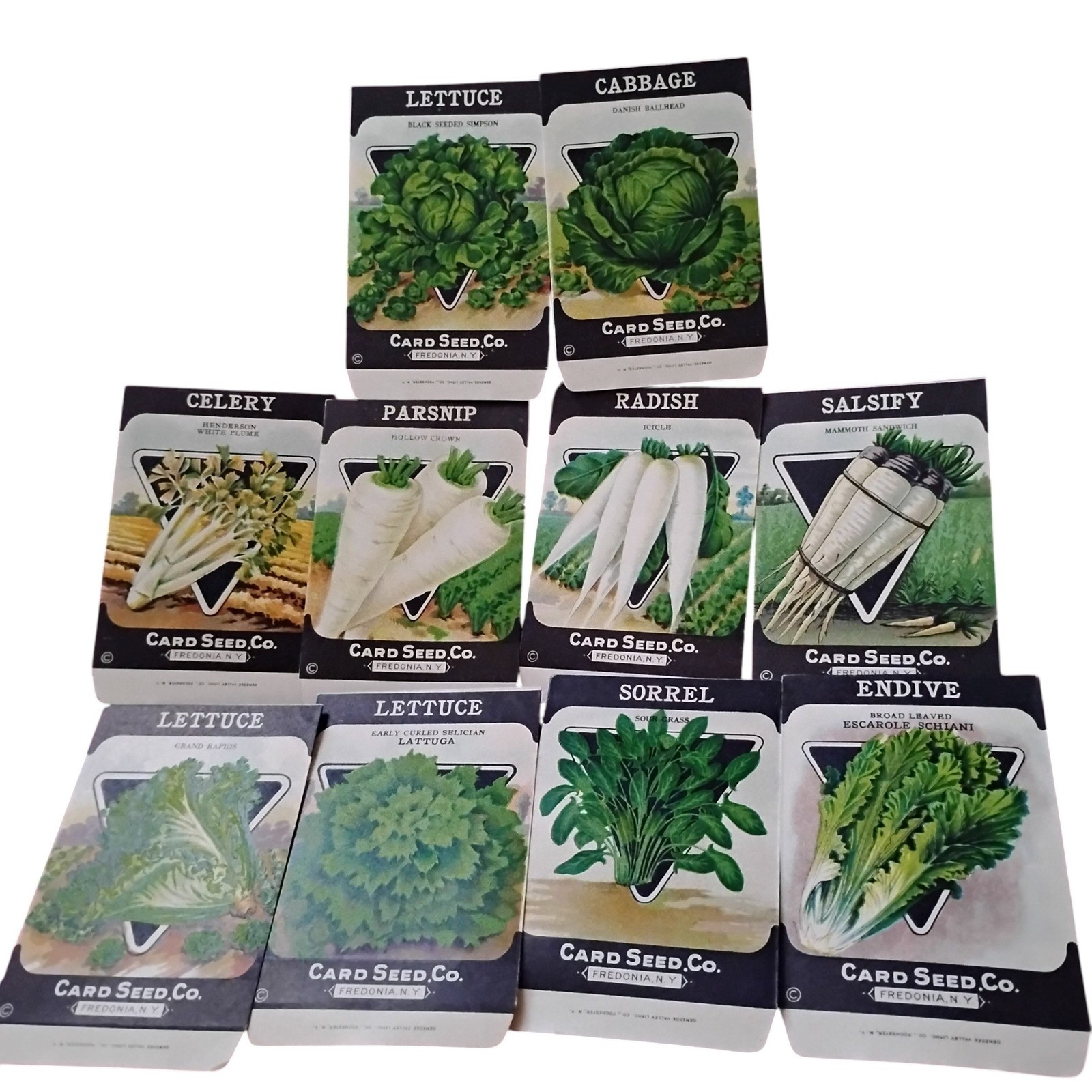 10 Vintage Card Seed Co Vegetable Seed Packets Fredonia NY Garden Ephemera Art 10 Vintage Card Seed Co Vegetable Seed Packets Fredonia NY Garden Ephemera Art