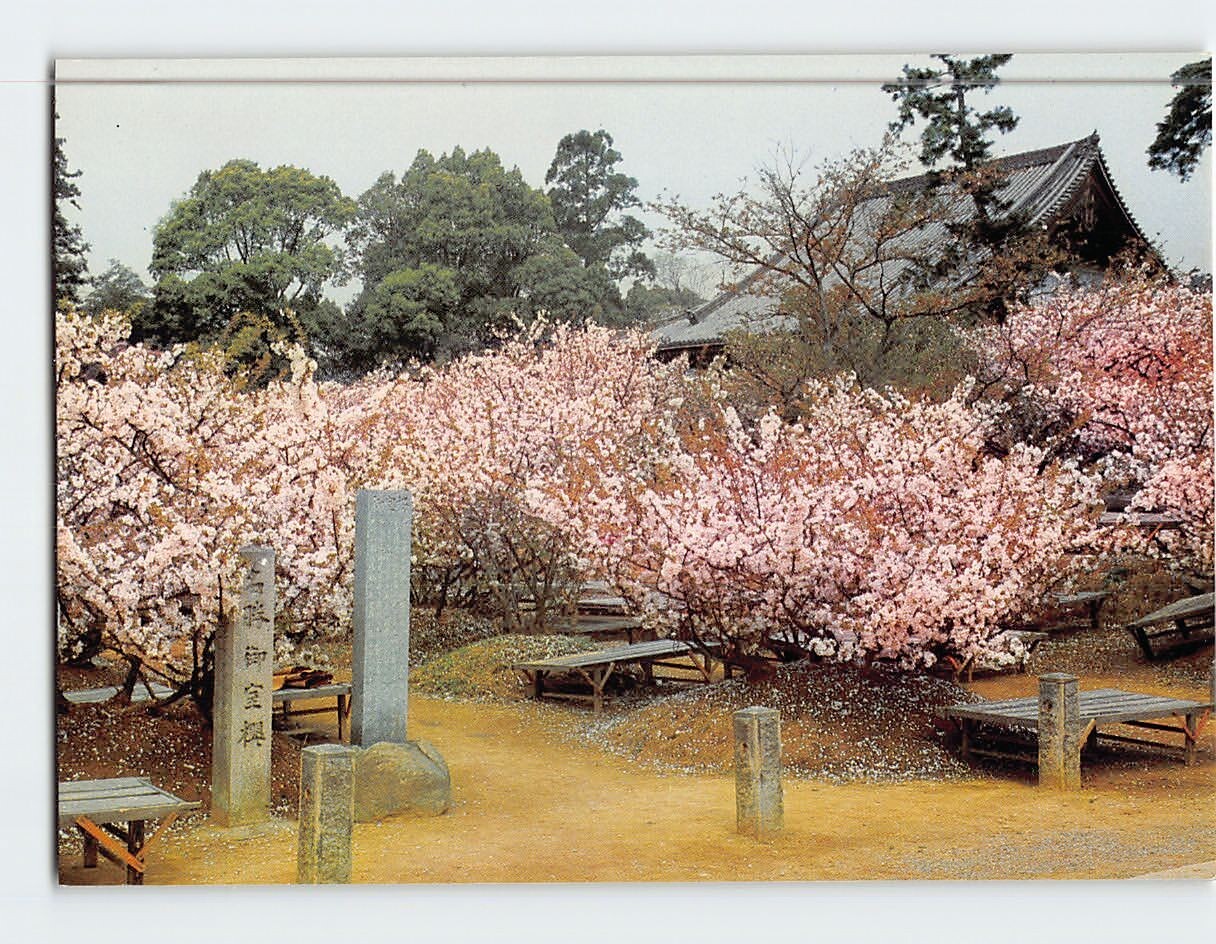 Postcard Kannon-do Hall Ninnaji Temple Kyoto Japan Postcard Kannon-do Hall Ninnaji Temple Kyoto Japan