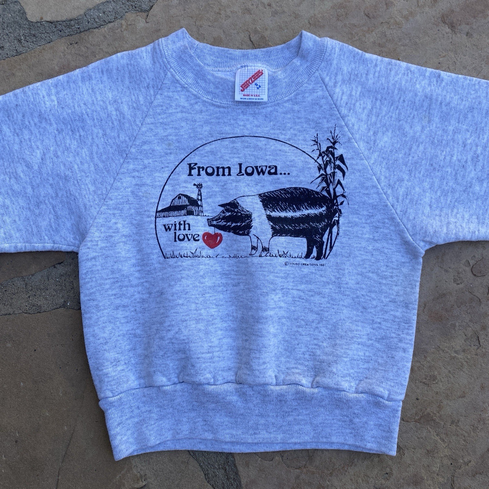 Vintage Kids Iowa Tourist Souvenir Sweatshirt Grey Pig Farm Small 6-8 80s 90s Vintage Kids Iowa Tourist Souvenir Sweatshirt Grey Pig Farm Small 6-8 80s 90s