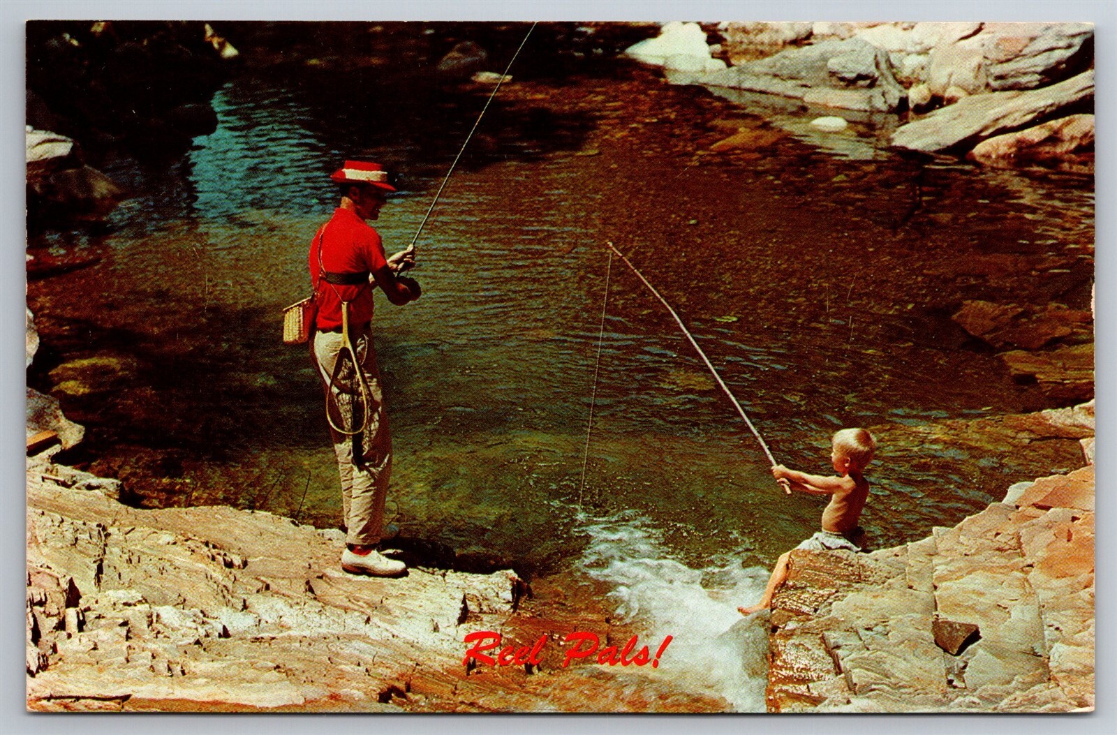 Reel Pals Man & Little Boy Fishing Same Trout Stream IN C1950's Postcard U6 Reel Pals Man & Little Boy Fishing Same Trout Stream IN C1950's Postcard U6
