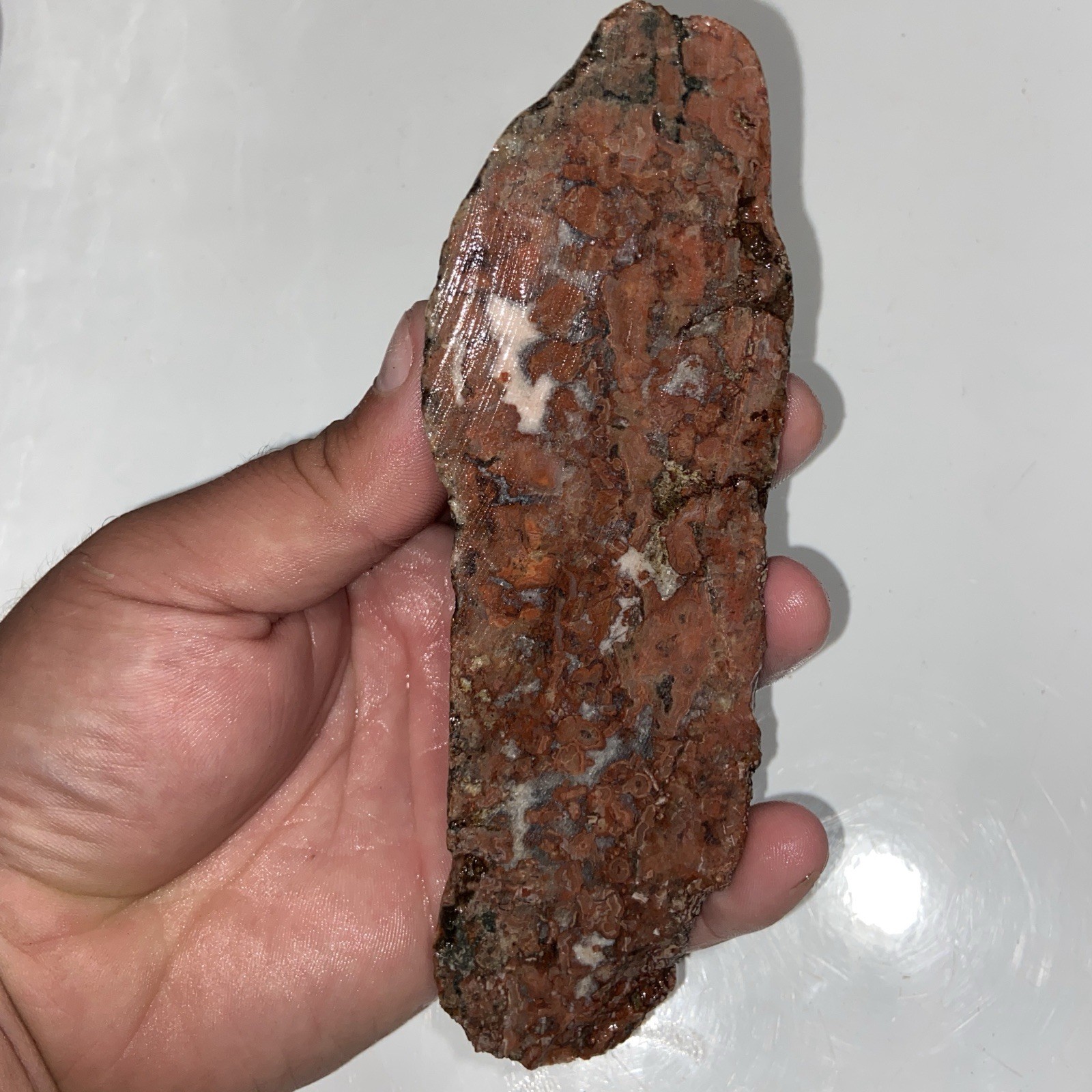 Unique Michigan Agate Lapidary Rough Stone 11.77 Oz
