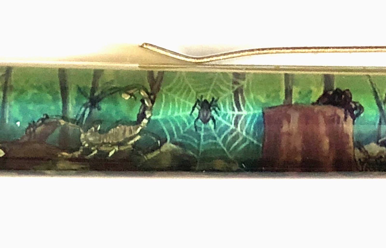 Insects Floaty Pen Moving Scorpion Spider Web Dragon Fly Ants Beetle Vintage Insects Floaty Pen Moving Scorpion Spider Web Dragon Fly Ants Beetle Vintage