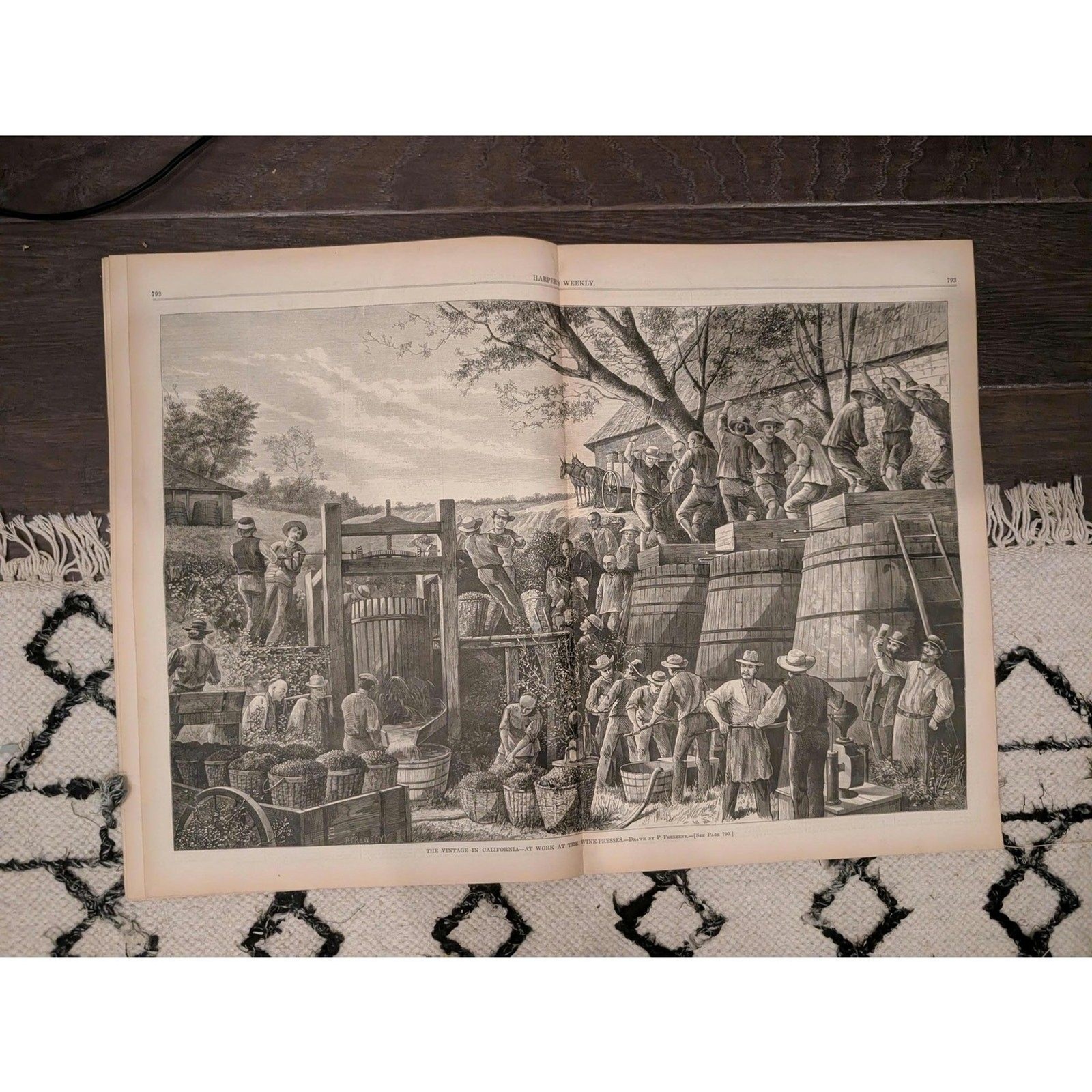 Oct 12 1878 Harper's Weekly, The Golden Age of Viticulture, Colorado Frontier