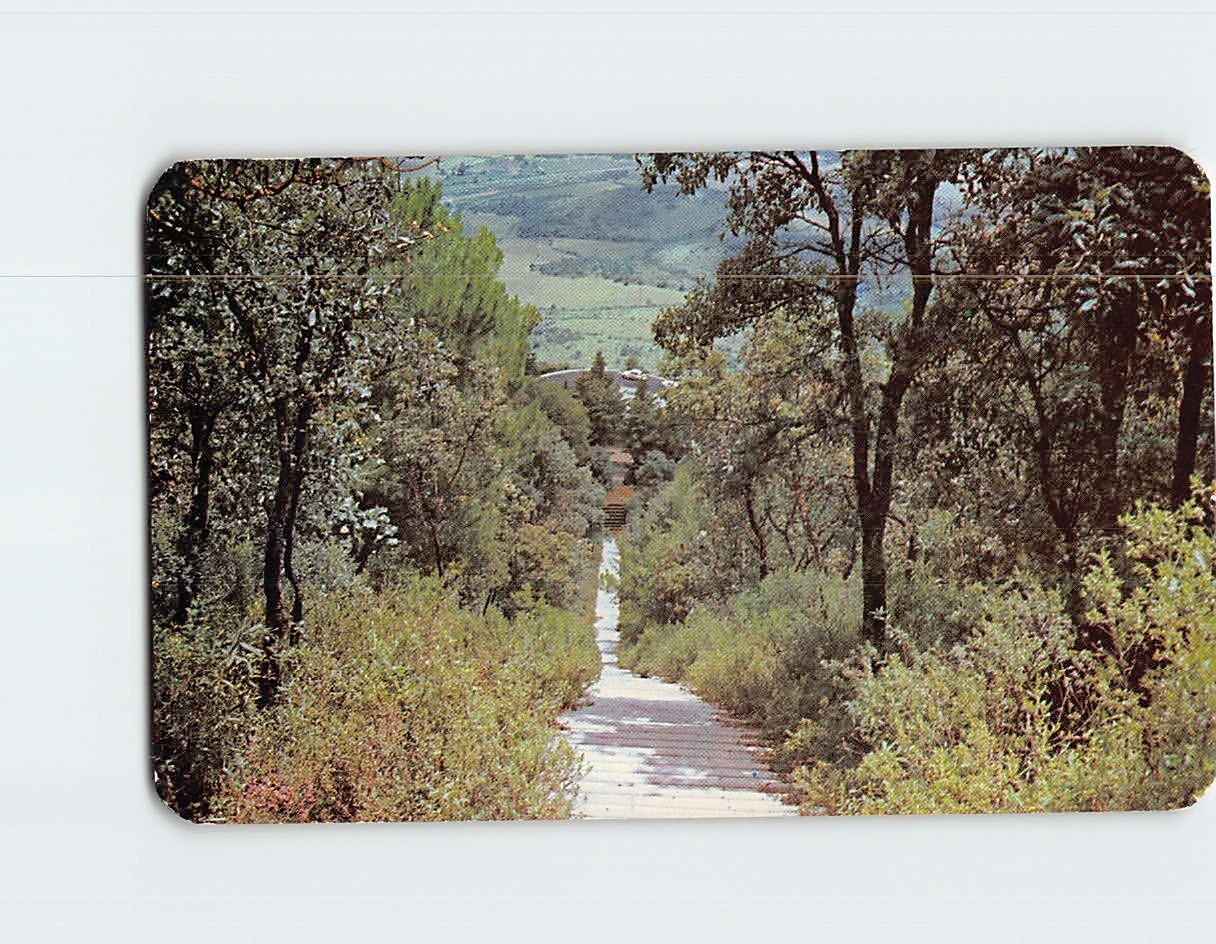 Postcard Stair Of \