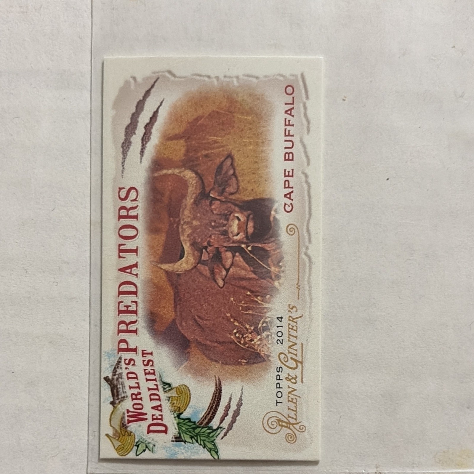 Topps 2014 Allen & Ginter World\'s Deadliest Predators Cape Buffalo WDP-08 Topps 2014 Allen & Ginter World\'s Deadliest Predators Cape Buffalo WDP-08
