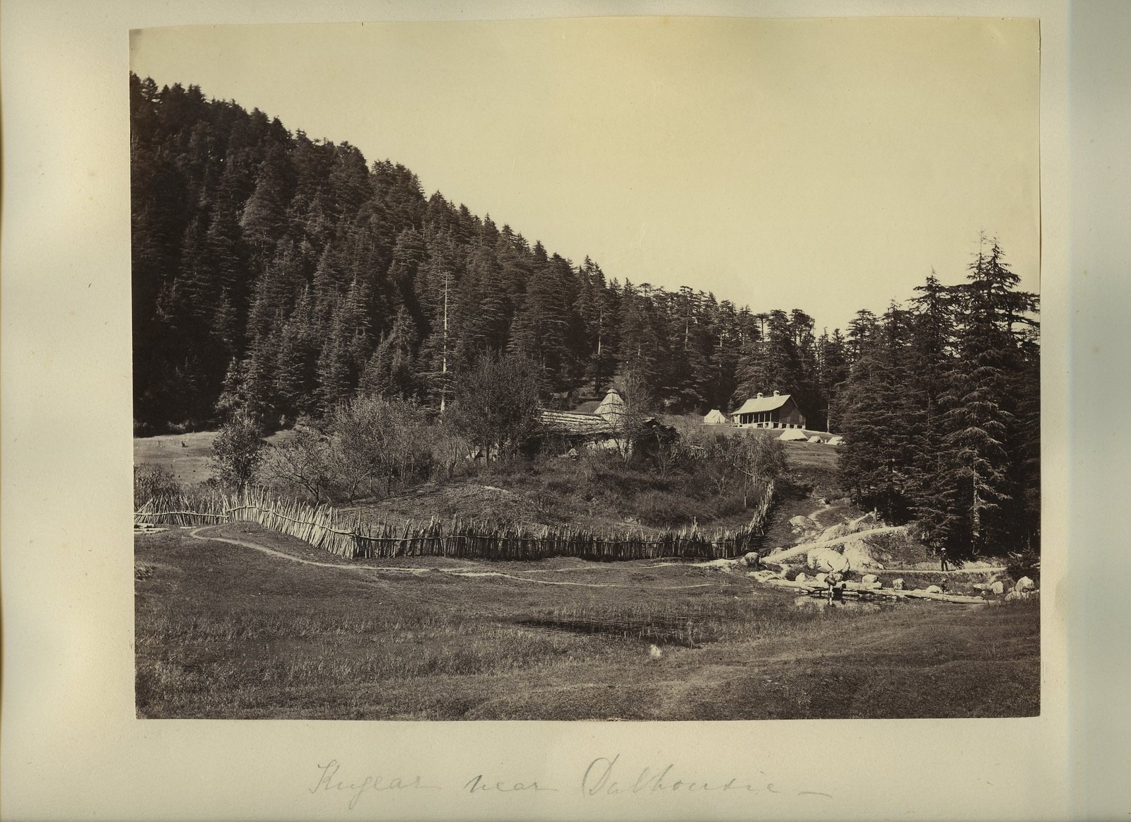 Khajear Dalhousie India Hill Station Forest Landscape c1880s VTG Photo Khajear Dalhousie India Hill Station Forest Landscape c1880s VTG Photo