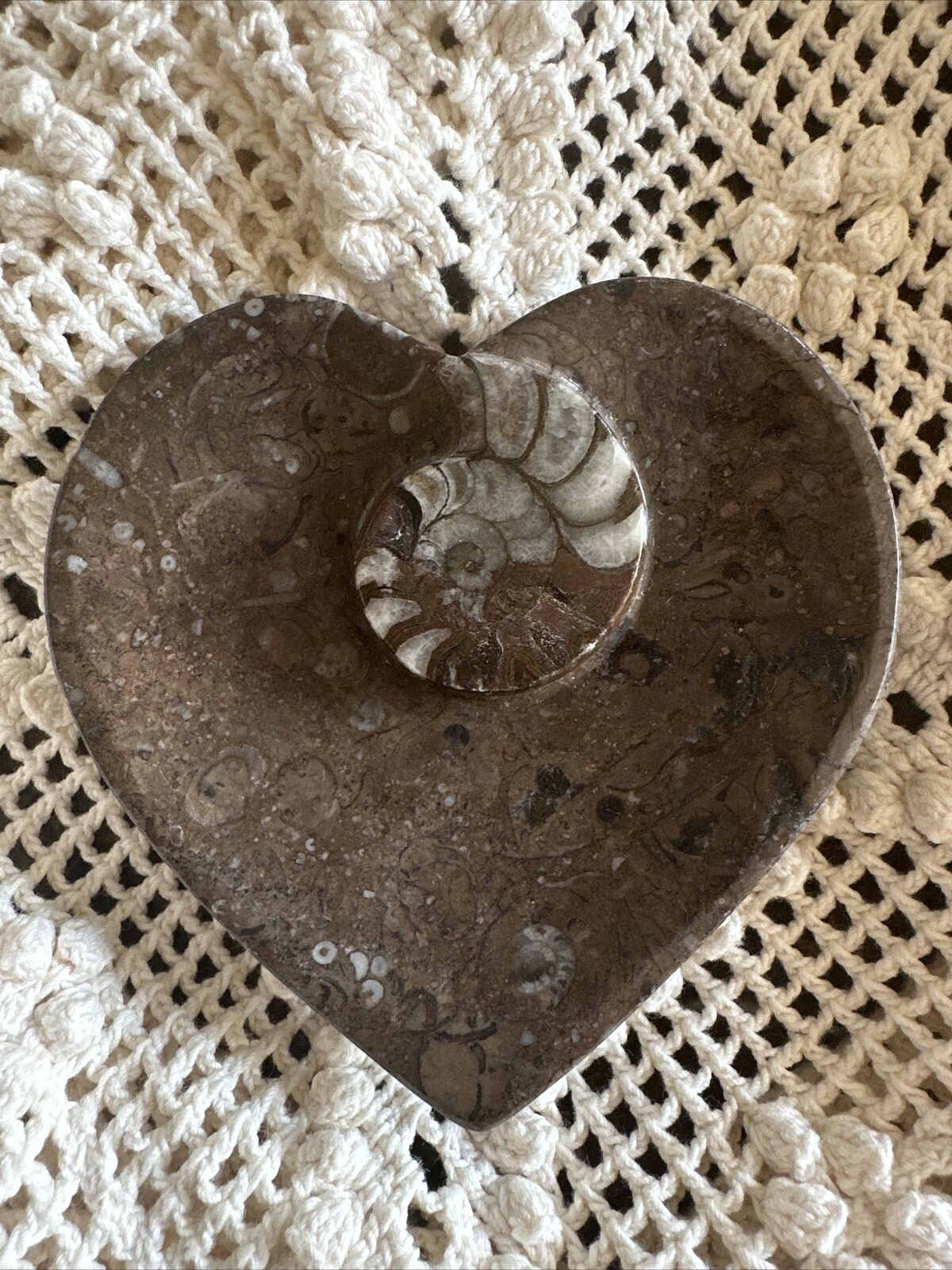 Ammonite and Belemnite Sea Fossil Heart Trinket Dish