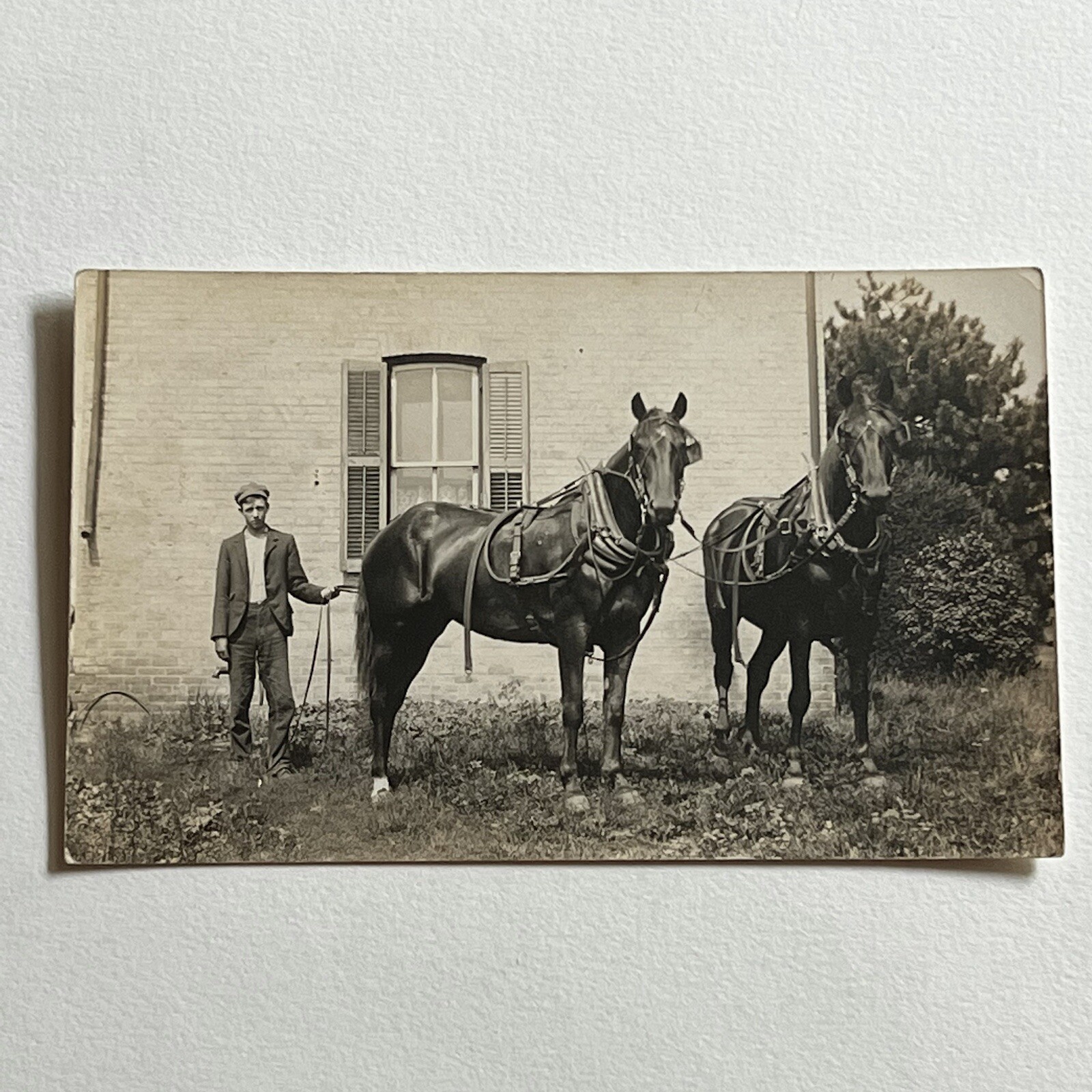 Antique RPPC Real Photograph Postcard Handsome Young Man & Big Beautiful Horse Antique RPPC Real Photograph Postcard Handsome Young Man & Big Beautiful Horse