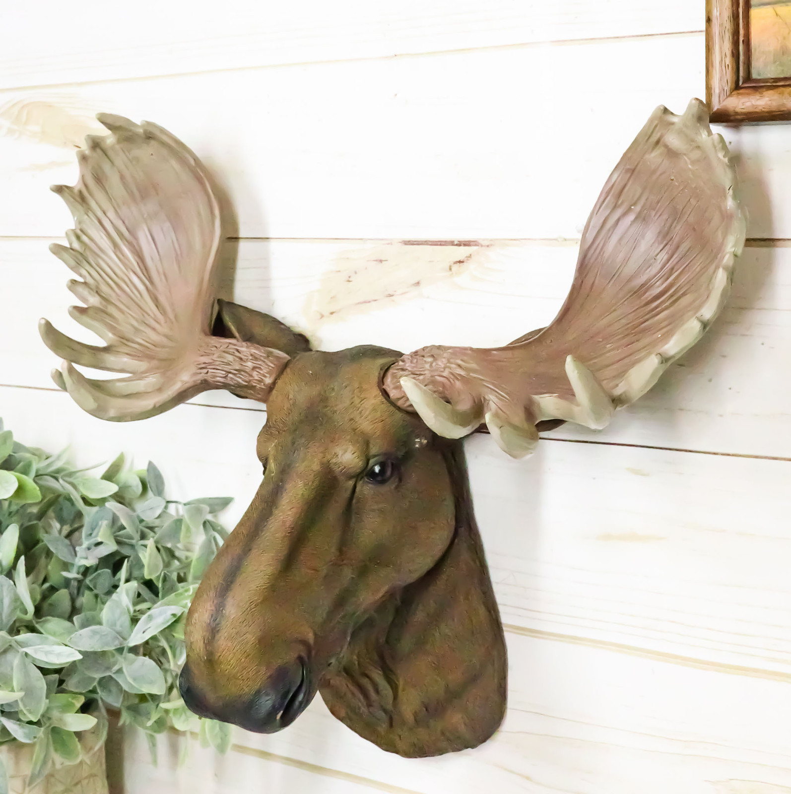 North American Granddaddy Bull Moose with Antlers Trophy Head Wall Decor 15 North American Granddaddy Bull Moose with Antlers Trophy Head Wall Decor 15