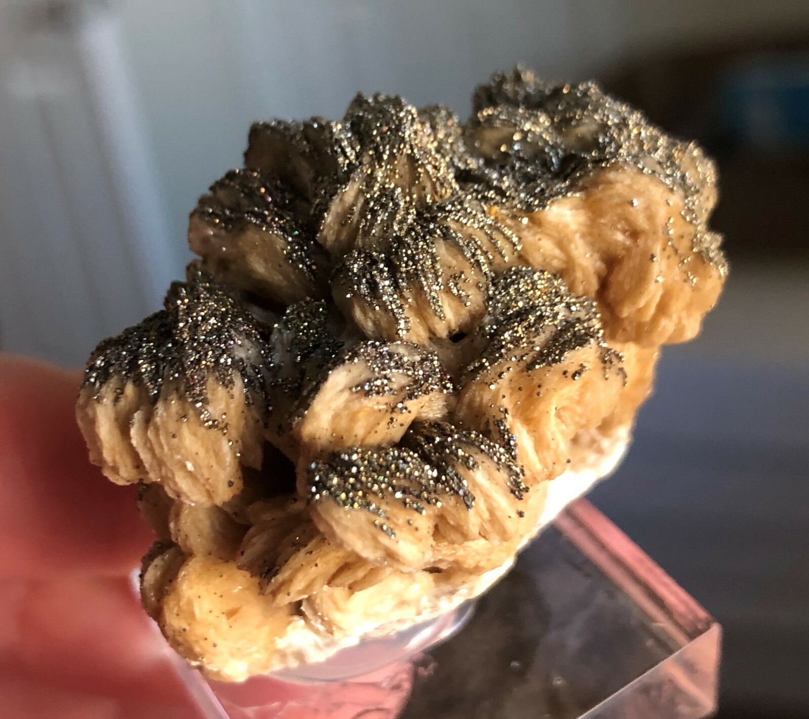 Fine Barite (Baryte) with Pyrite, Lubin Mine, Poland Fine Barite (Baryte) with Pyrite, Lubin Mine, Poland