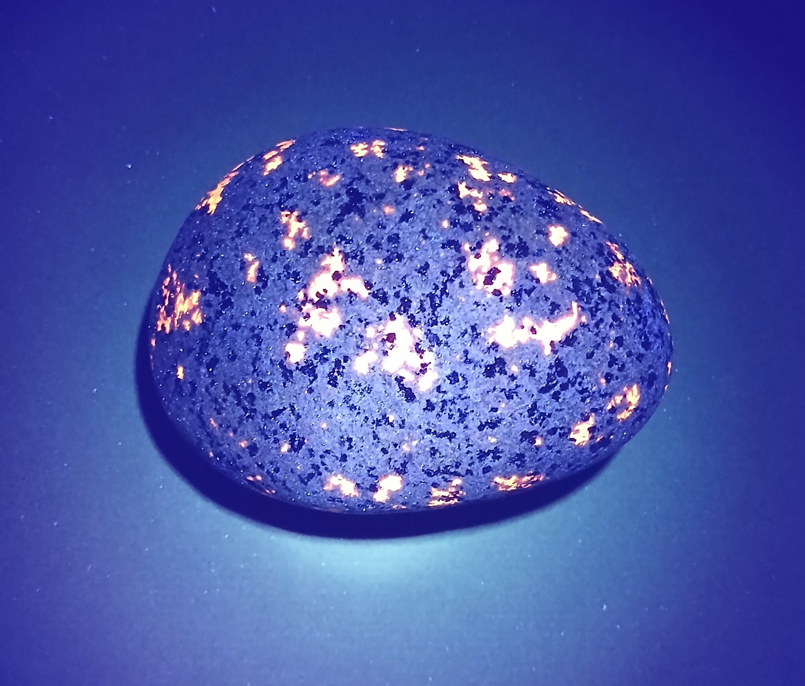 Fluorescent Sodalite ( Yooperlite ) 13 oz. A Bright Lake Superior Yooperlite Fluorescent Sodalite ( Yooperlite ) 13 oz. A Bright Lake Superior Yooperlite