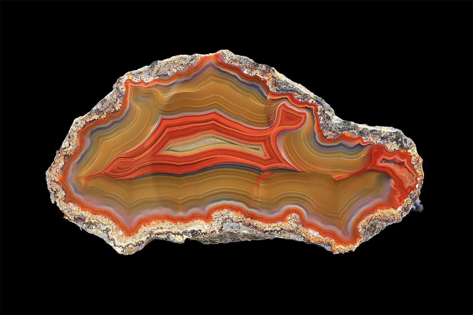 Exceptional Rare Quality Condor Agate Tight Banding and Fantastic Contrast Exceptional Rare Quality Condor Agate Tight Banding and Fantastic Contrast