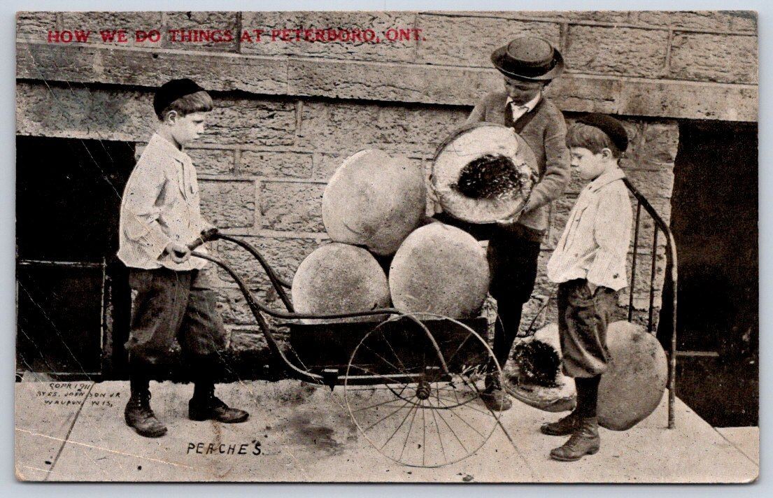 Peaches Rppc two boys pushing giant fruit in wheelbarrow 1911 Peaches Rppc two boys pushing giant fruit in wheelbarrow 1911