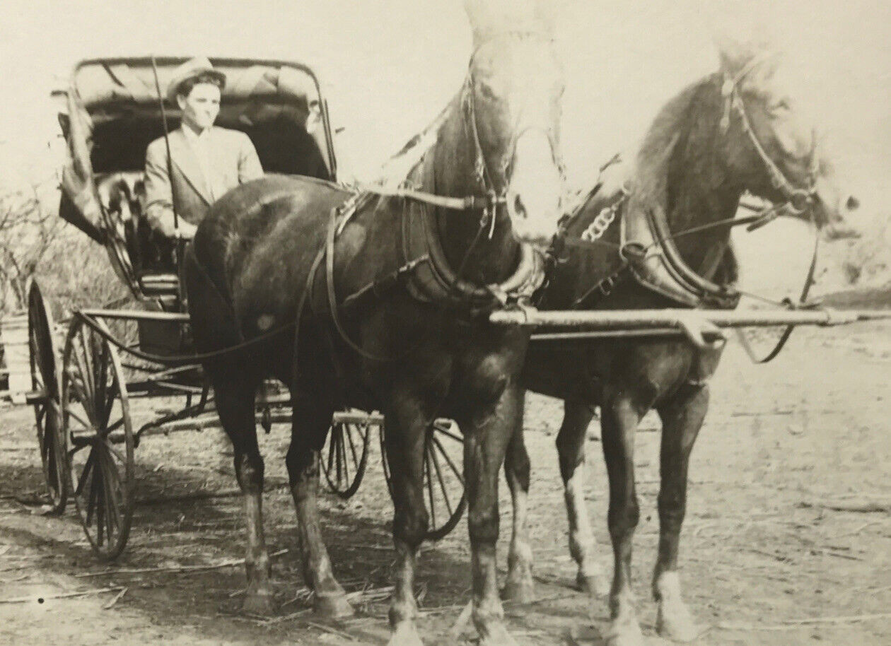 Antique RPPC Horse Drawn Buggy Man Hat Dirt Road #17 Antique RPPC Horse Drawn Buggy Man Hat Dirt Road #17