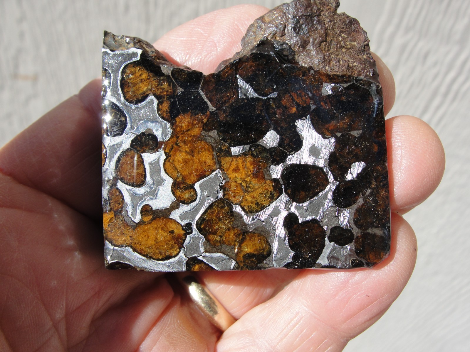 Brenham Pallasite Meteorite etched end cut 82g/410Ct olivine peridot iron nickel