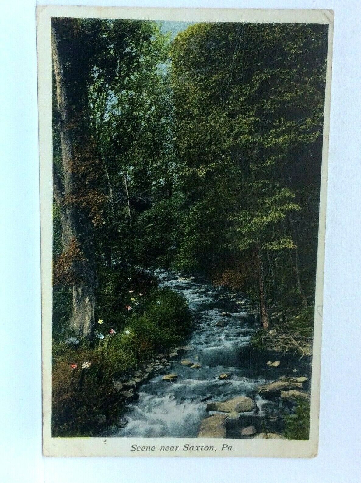 1915 Saxton Pennsylvania PA Stream Scenic View Vintage Postcard