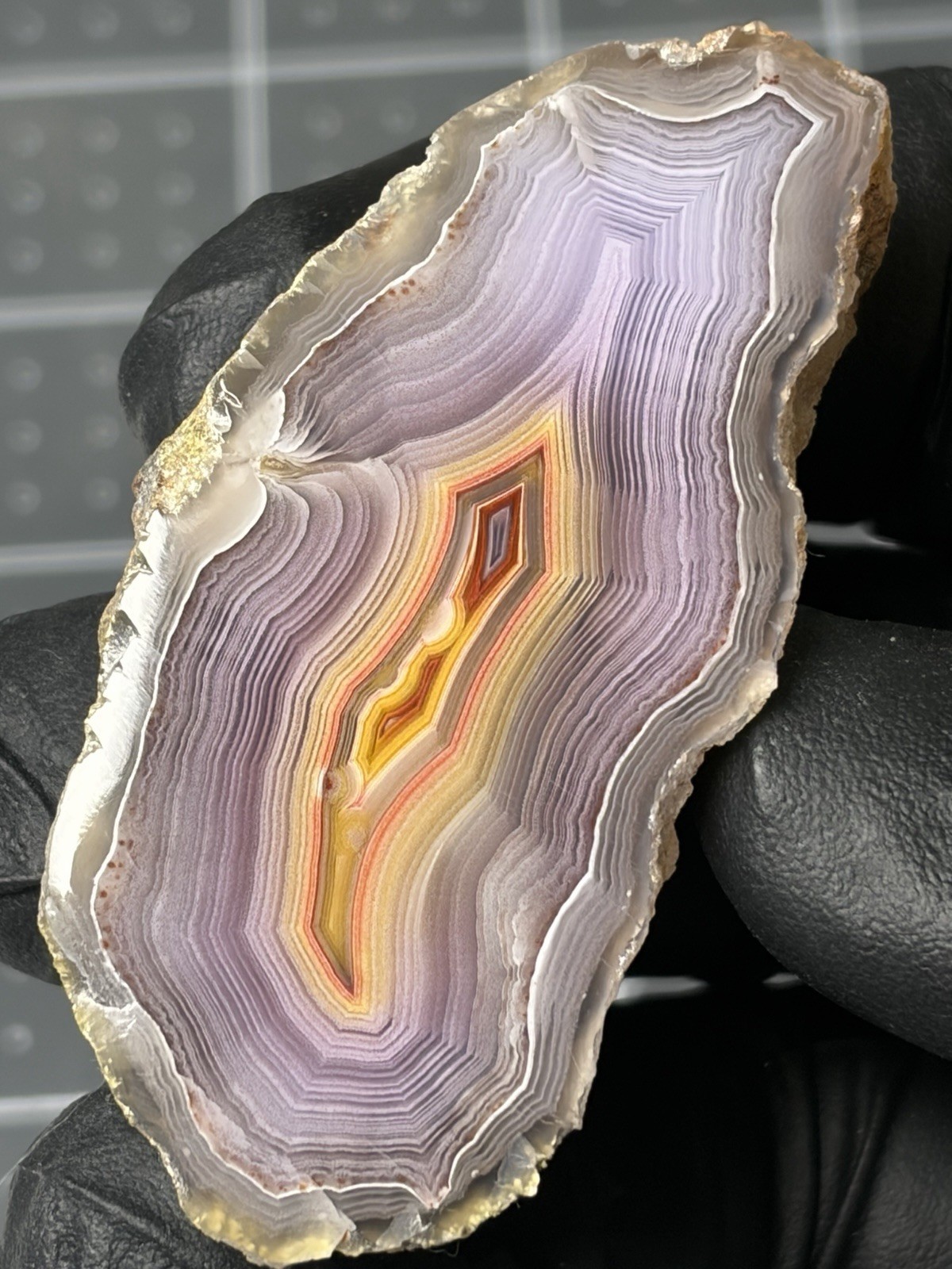 Stunning Laguna Agate Polished High Quality Specimen Parallax Banding Colorful Stunning Laguna Agate Polished High Quality Specimen Parallax Banding Colorful