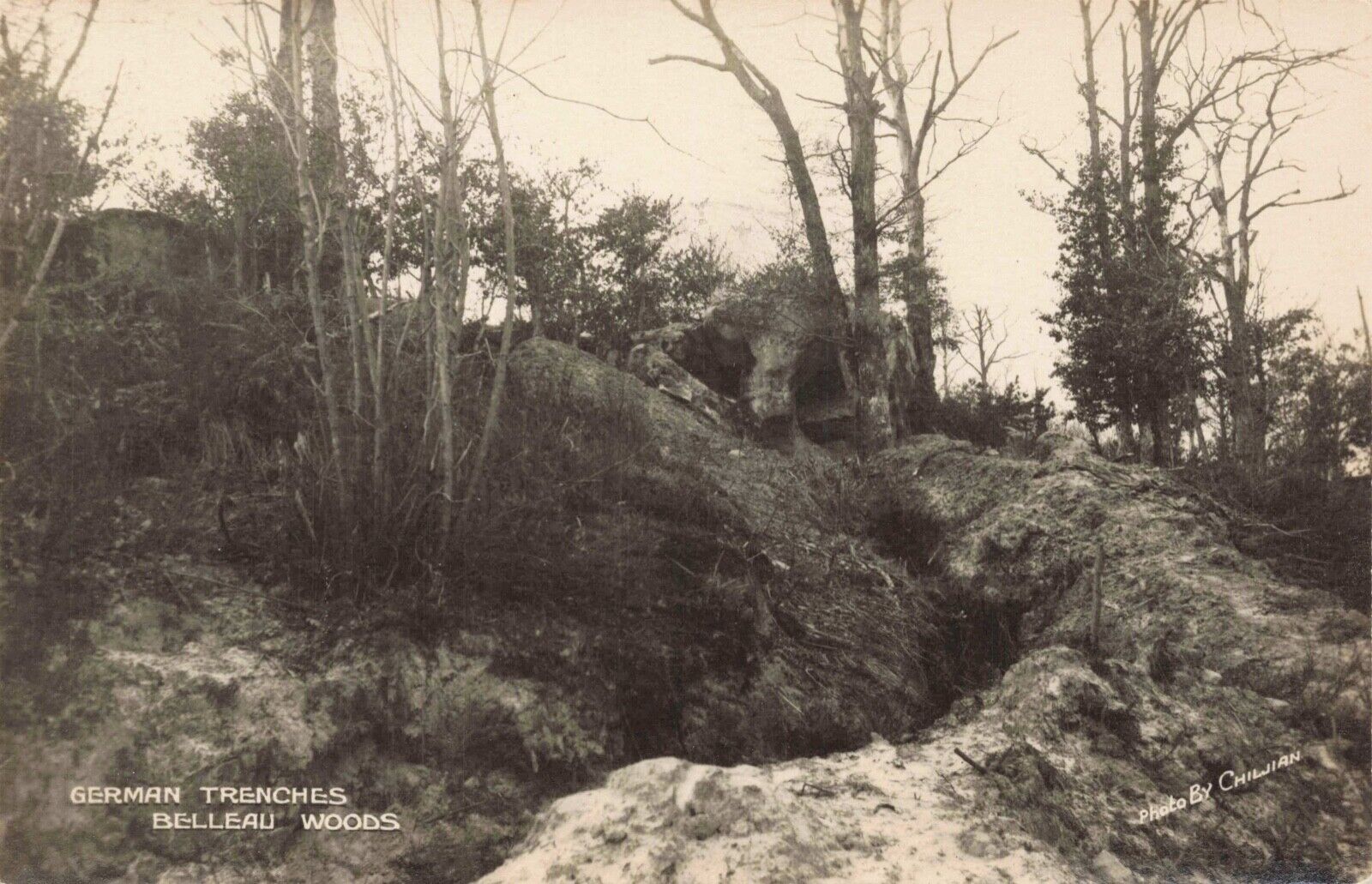 German Trenches, Belleau Woods France WWI Vintage PC RPPC Photo by Chiljian
