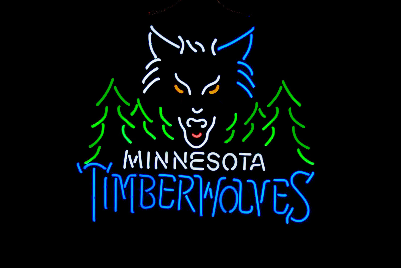 Minnesota Timberwolves 24