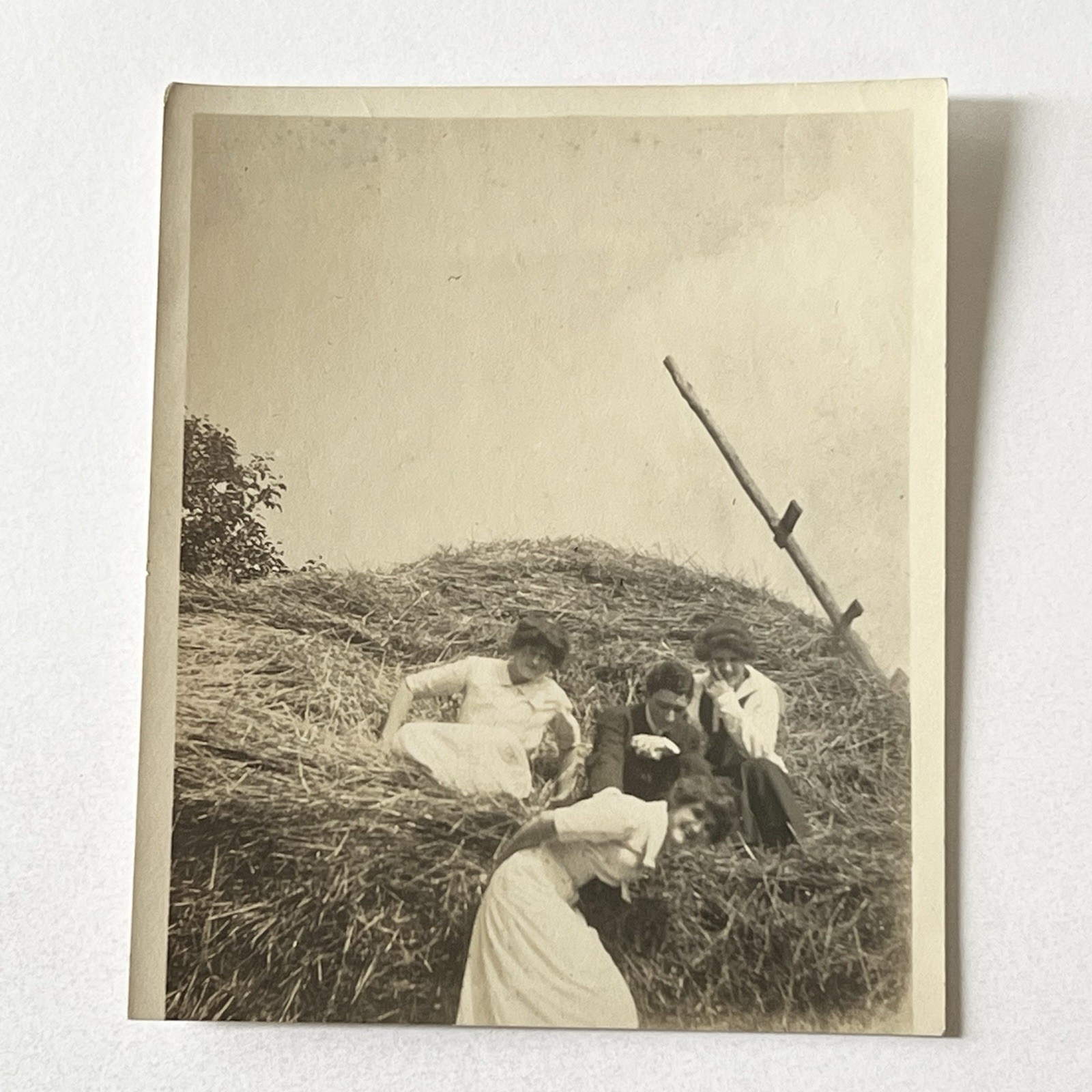 Antique Snapshot Group Photograph Beautiful Women & Man Roll In The Hay Farming