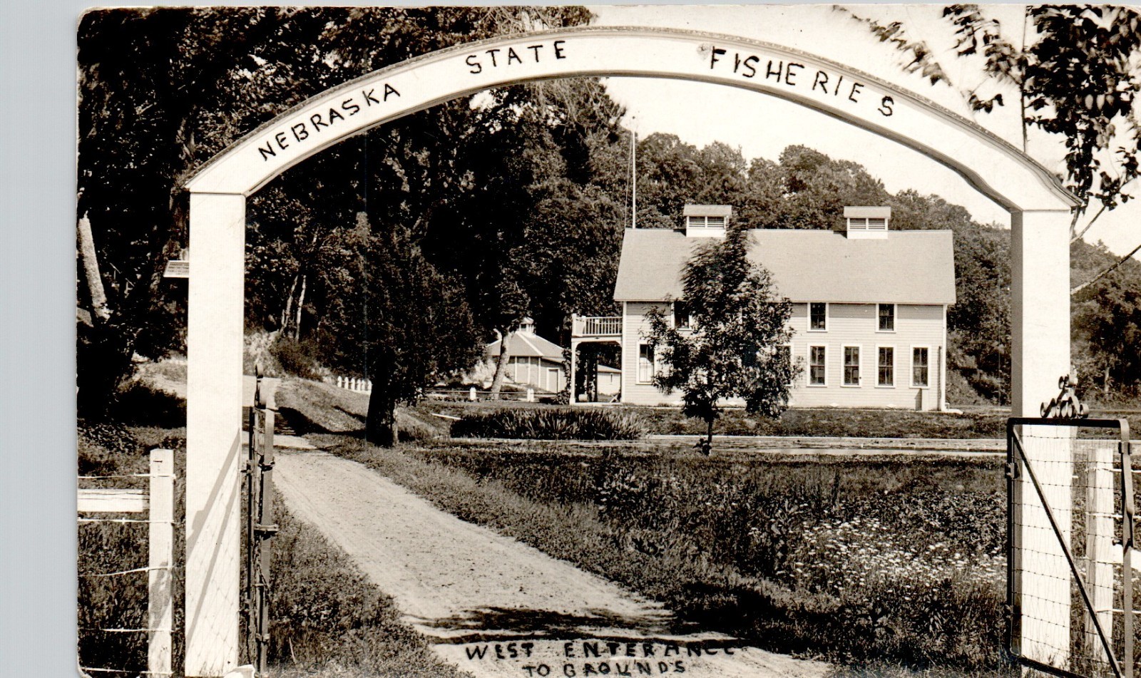 NEBRASKA STATE FISHERIES c1910 POSTCARD real photo rppc ne historic location NEBRASKA STATE FISHERIES c1910 POSTCARD real photo rppc ne historic location