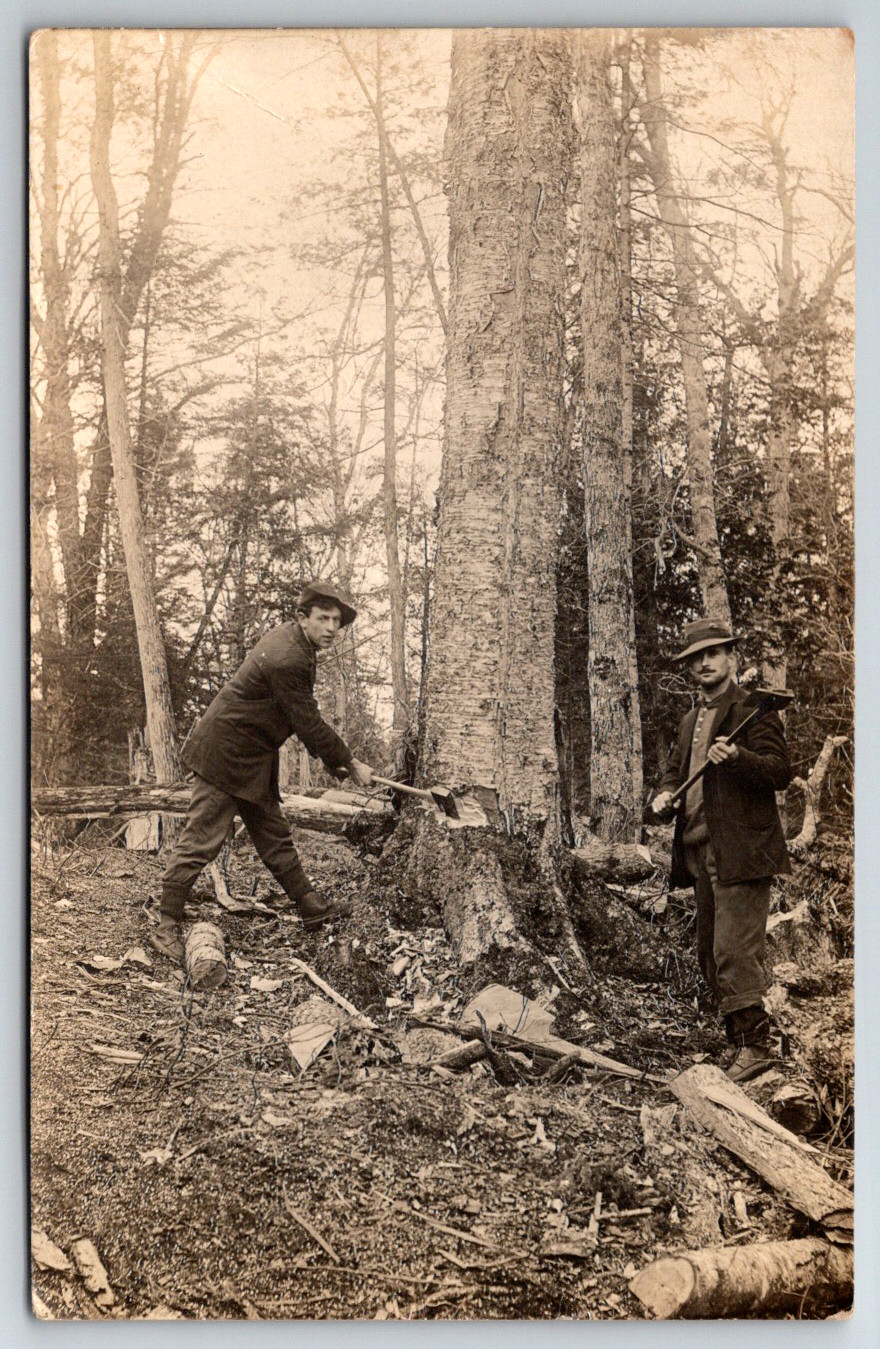 RPPC c1910s Loggers Lumberjacks Cutting Down Trees With Hand Axes Postcard RPPC c1910s Loggers Lumberjacks Cutting Down Trees With Hand Axes Postcard