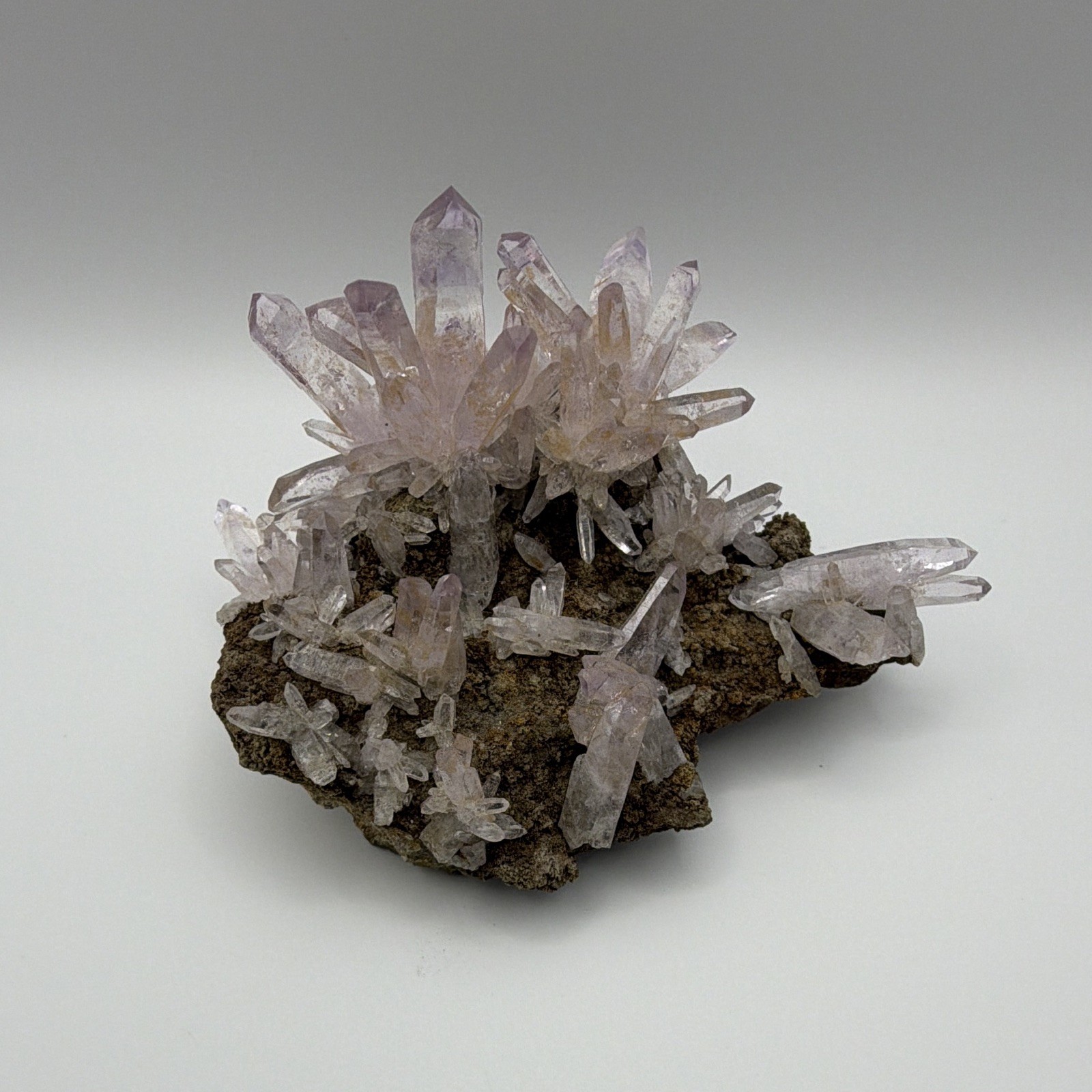 Vera Cruz Amethyst (Las Vigas Mine) Cluster on Matrix Mineral Specimen Vera Cruz Amethyst (Las Vigas Mine) Cluster on Matrix Mineral Specimen