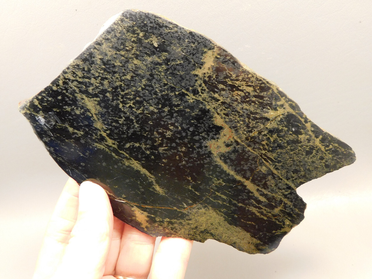 Apache Gold Polished Stone Slab Black and Gold Rock Jerome Arizona #O5 Apache Gold Polished Stone Slab Black and Gold Rock Jerome Arizona #O5