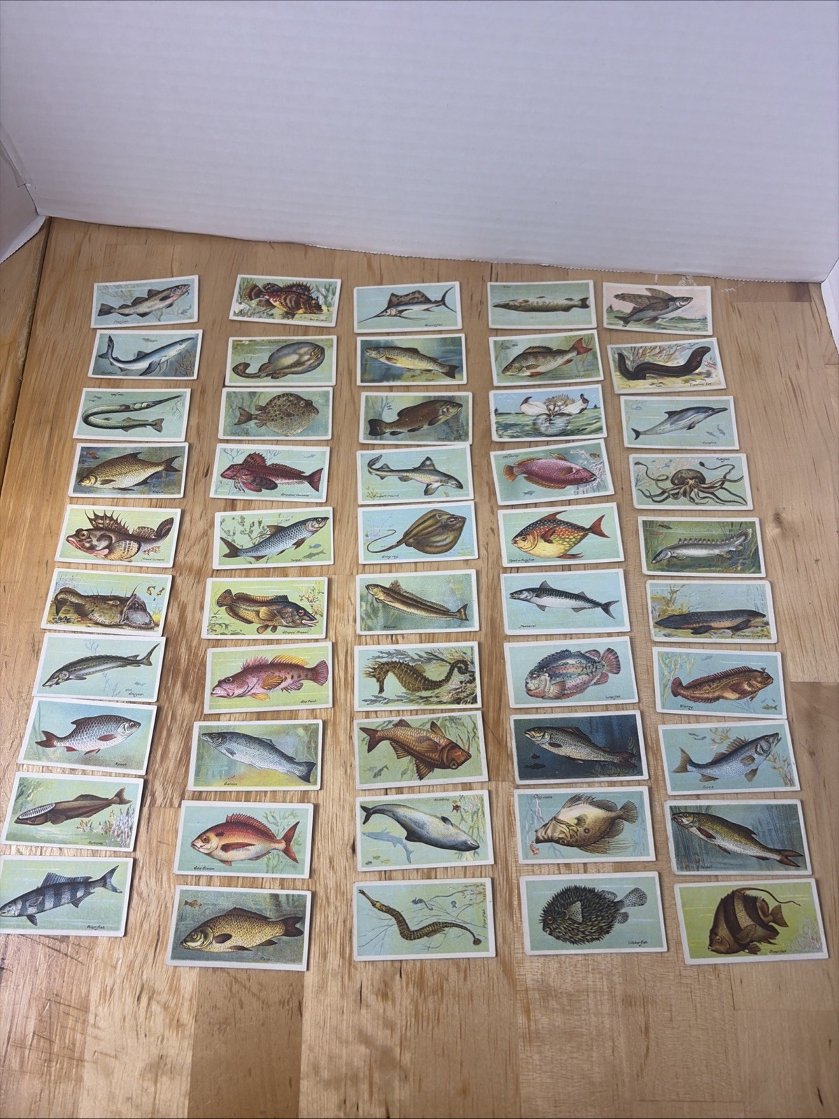 Complete Set Of 50: 1904 IMPERIAL TABACCO CANADA FISHS OF THE WORLD Vintage Complete Set Of 50: 1904 IMPERIAL TABACCO CANADA FISHS OF THE WORLD Vintage
