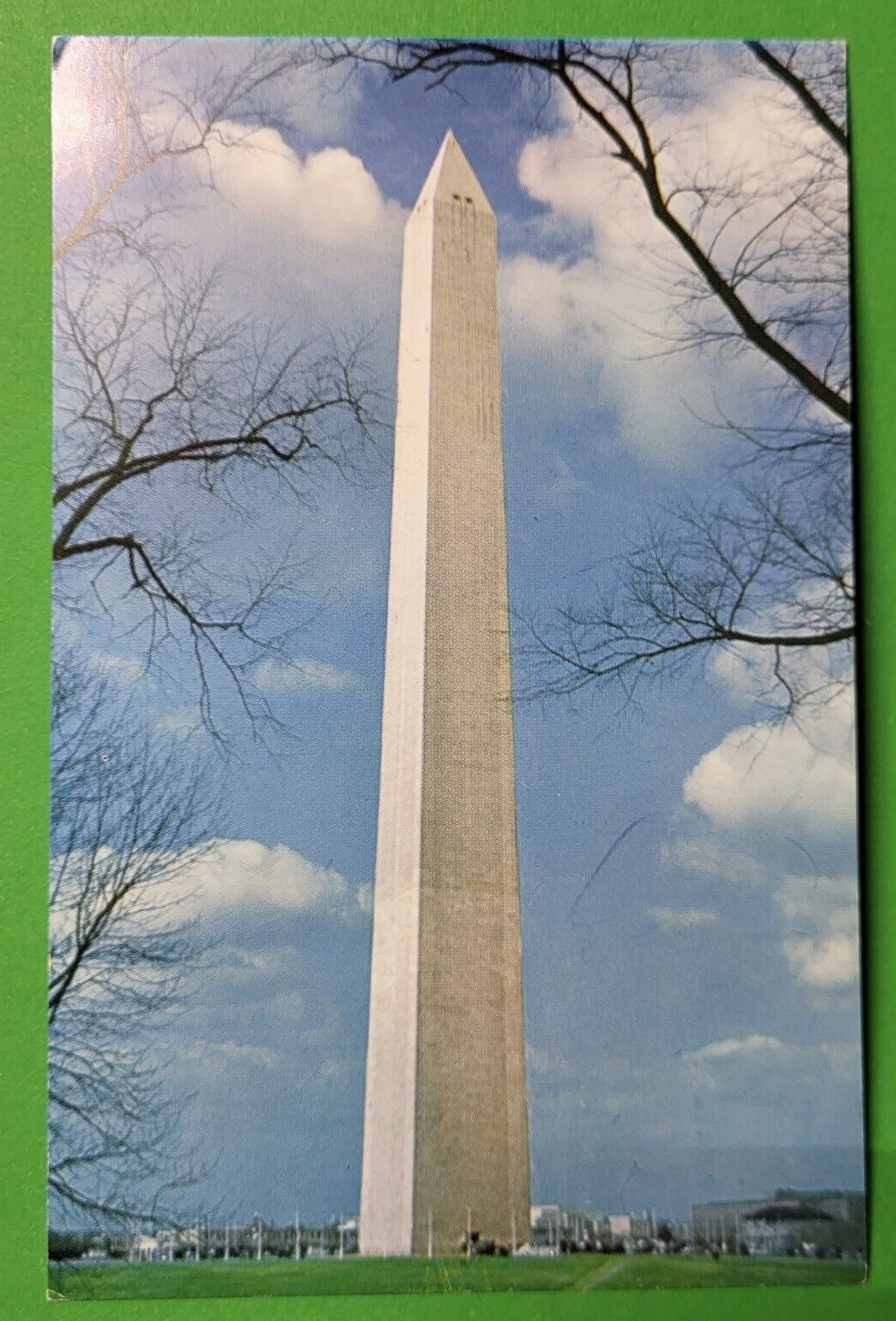 The Washington Monument Cherry Trees Bloom in April Chrome The Washington Monument Cherry Trees Bloom in April Chrome
