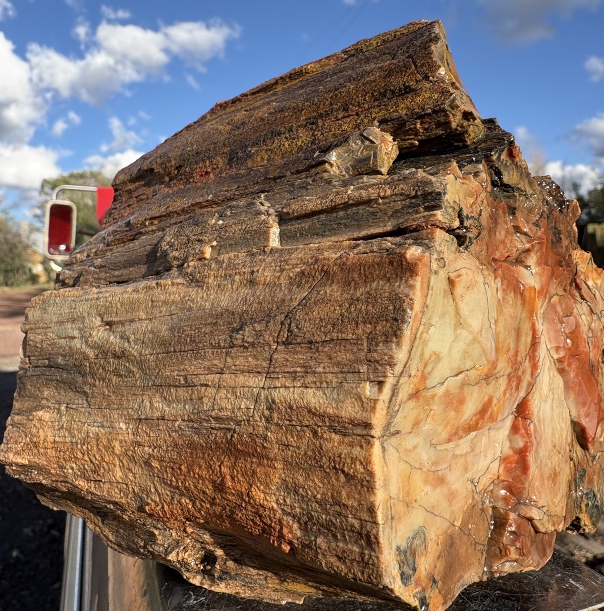 โ๏ธRRโ๏ธ: Top Quality Arizona Rainbow Petrified Wood 10.75 Lb ๐ โ๏ธRRโ๏ธ: Top Quality Arizona Rainbow Petrified Wood 10.75 Lb ๐