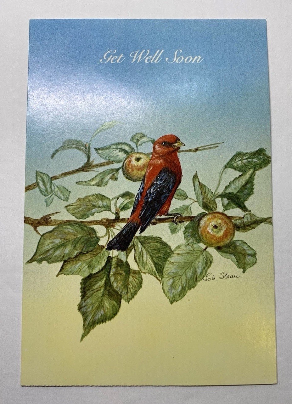 Vintage Amvets Get Well Soon Greeting Card Bird On Apple Tree Unused W/ Envelope Vintage Amvets Get Well Soon Greeting Card Bird On Apple Tree Unused W/ Envelope