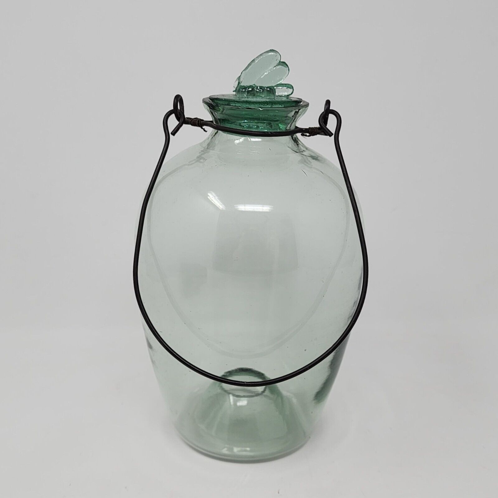 Antique Handblown Glass Insect Catcher with Wire Hanger With Lid 9.5\