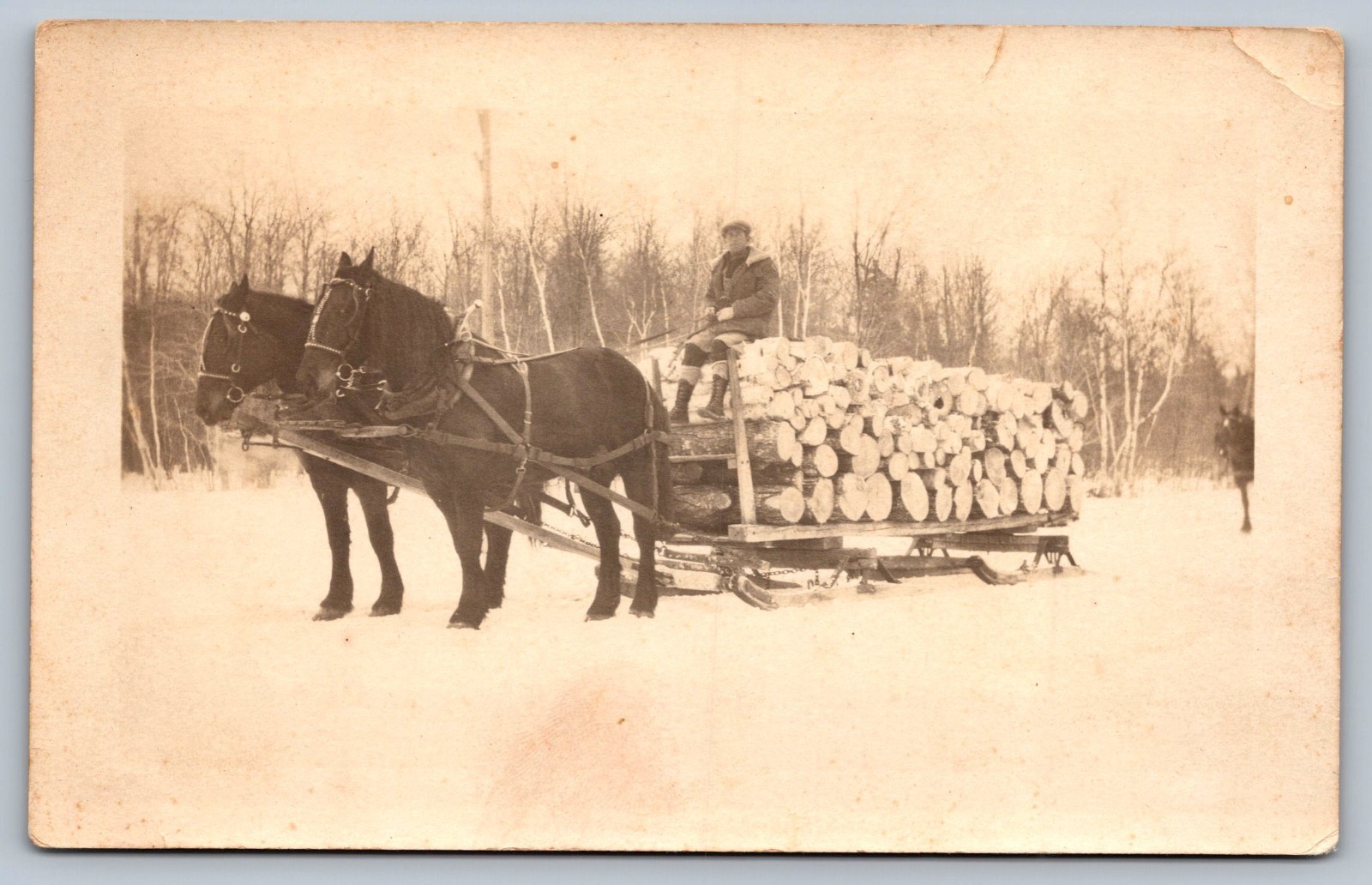 c1910 RPPC man on horse pulled wagon laden w/ big logs JOSEPH GROVER identified c1910 RPPC man on horse pulled wagon laden w/ big logs JOSEPH GROVER identified