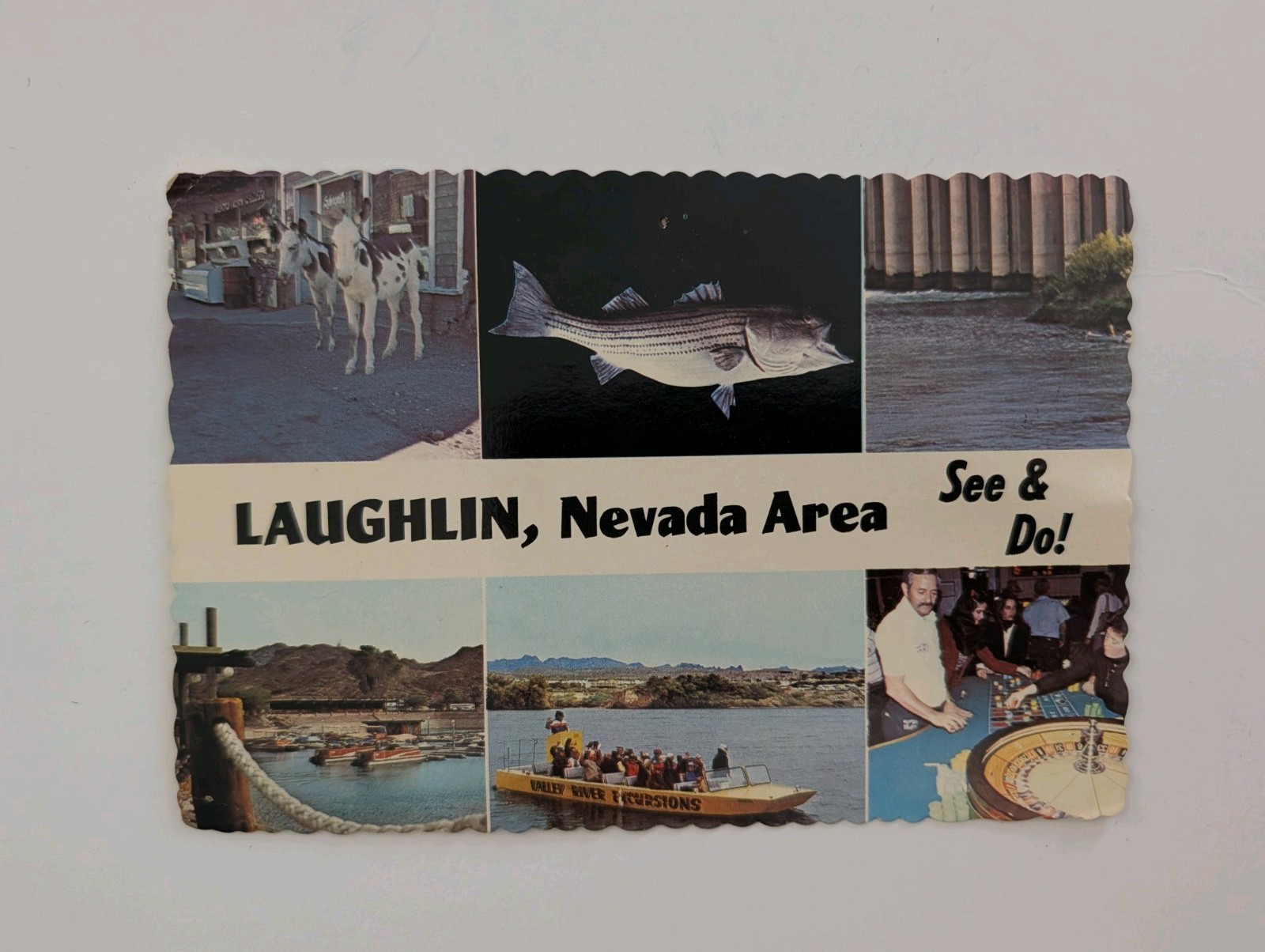 Vintage 1982 Laughlin Nevada NV  Souvenir Postcard Fishing & Casino