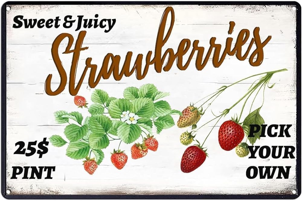 Sweet Juicy Strawberries Tin Metal Signs Home Décor funny metal. For kitchen