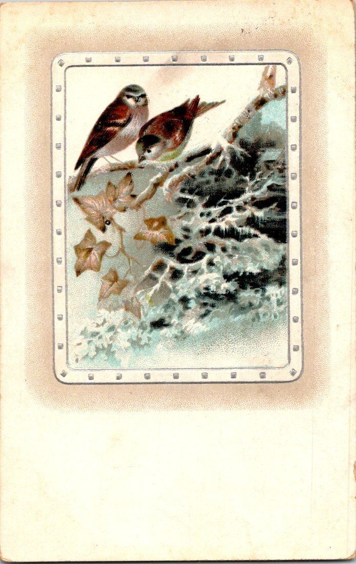 Vintage 1914 Bird Postcard with Ivy and Rock Scene Printed in Germany Vintage 1914 Bird Postcard with Ivy and Rock Scene Printed in Germany