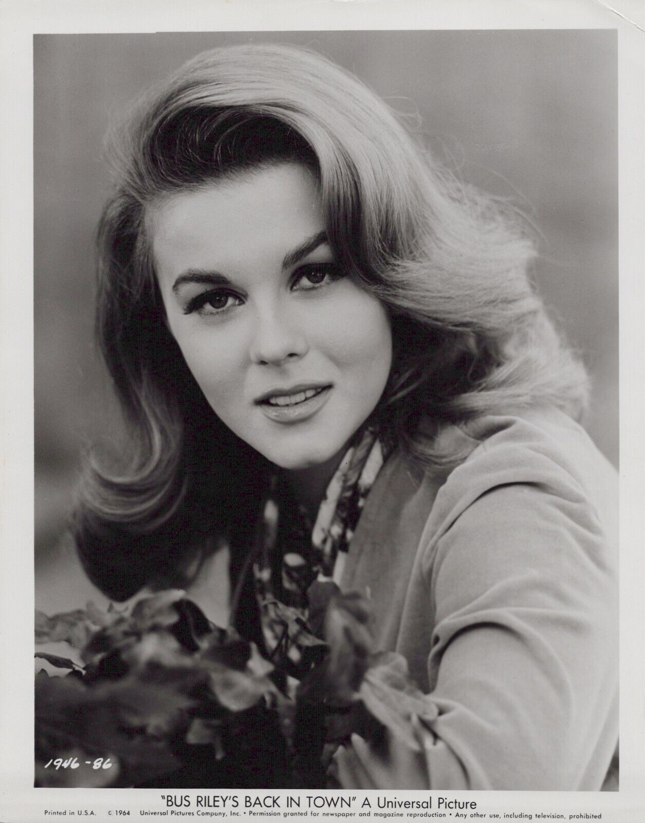 Ann-Margret in Bus Riley\'s Back in Town (1964) Hollywood Movie Photo K53