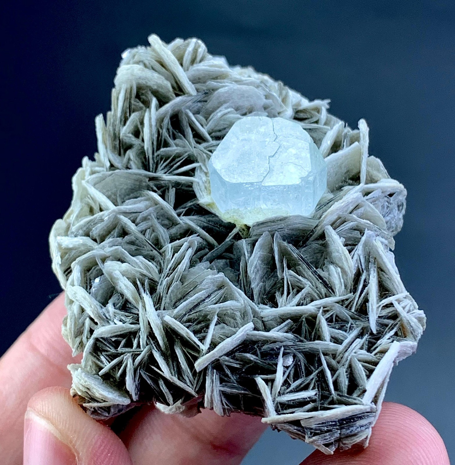 363 Carat Aquamarine Crystal from Skardu Pakistan 363 Carat Aquamarine Crystal from Skardu Pakistan