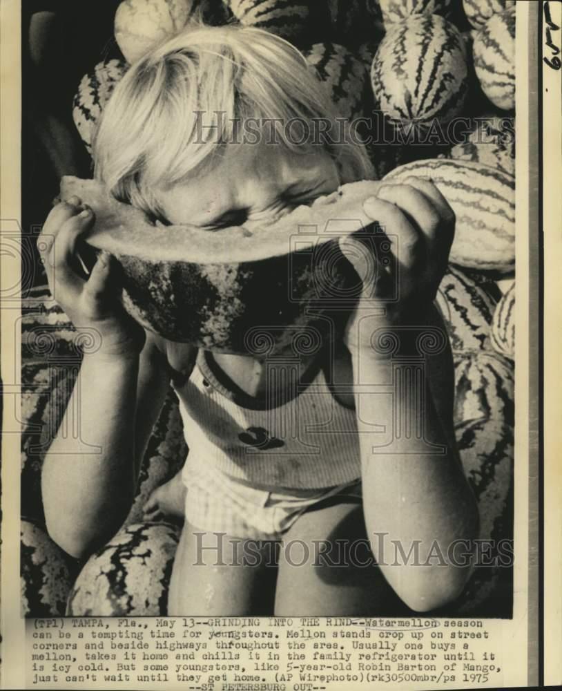 1975 Press Photo Watermelon being enjoyed by youngster during watermelon season 1975 Press Photo Watermelon being enjoyed by youngster during watermelon season