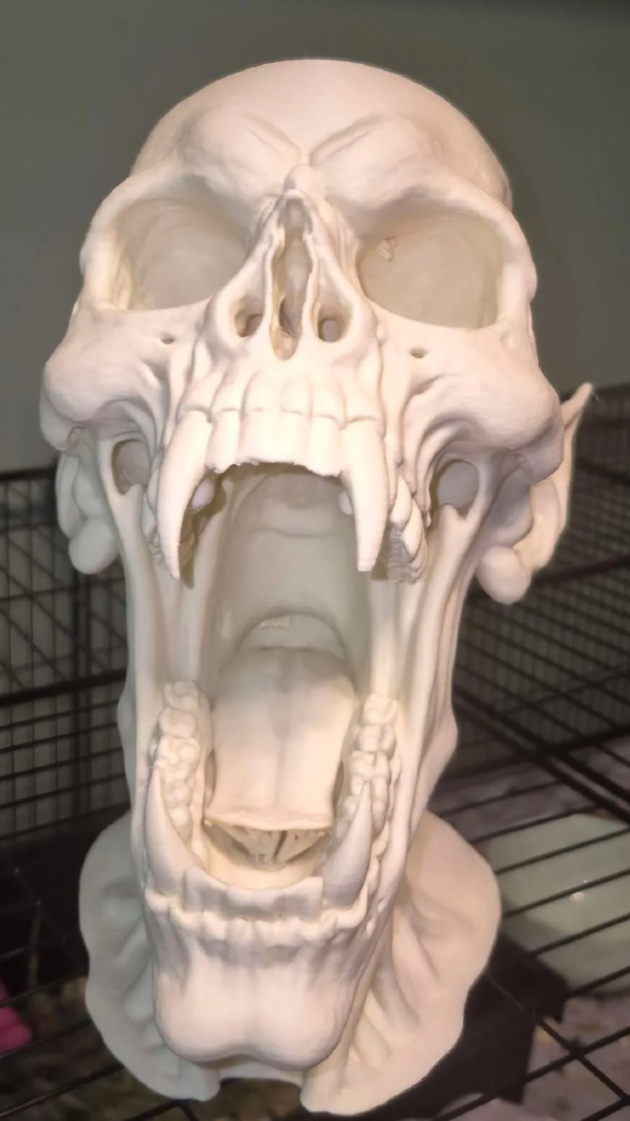 3D Printed Skulls 7 Skulls Life Size 3D Printed Skulls 7 Skulls Life Size